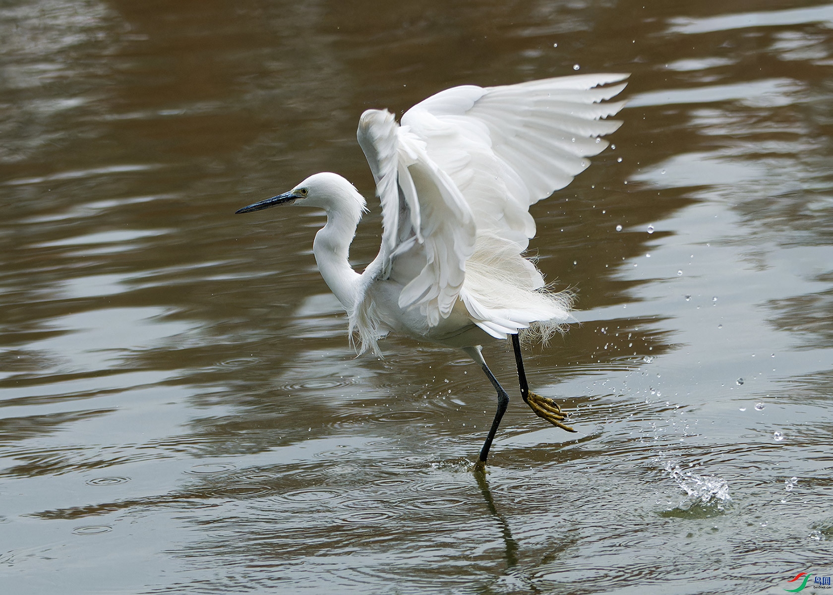 DSC_4015.jpg