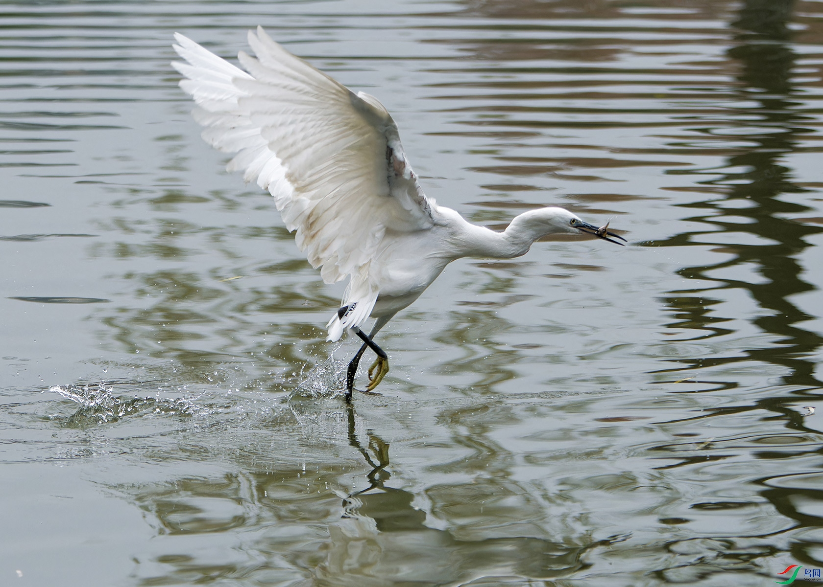 DSC_4066.jpg