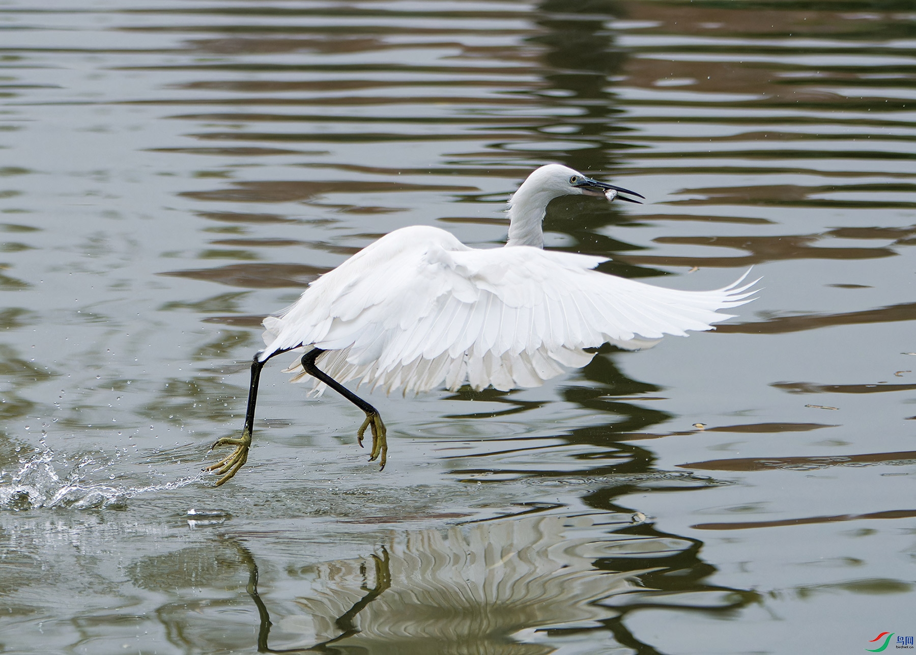 DSC_4067.jpg