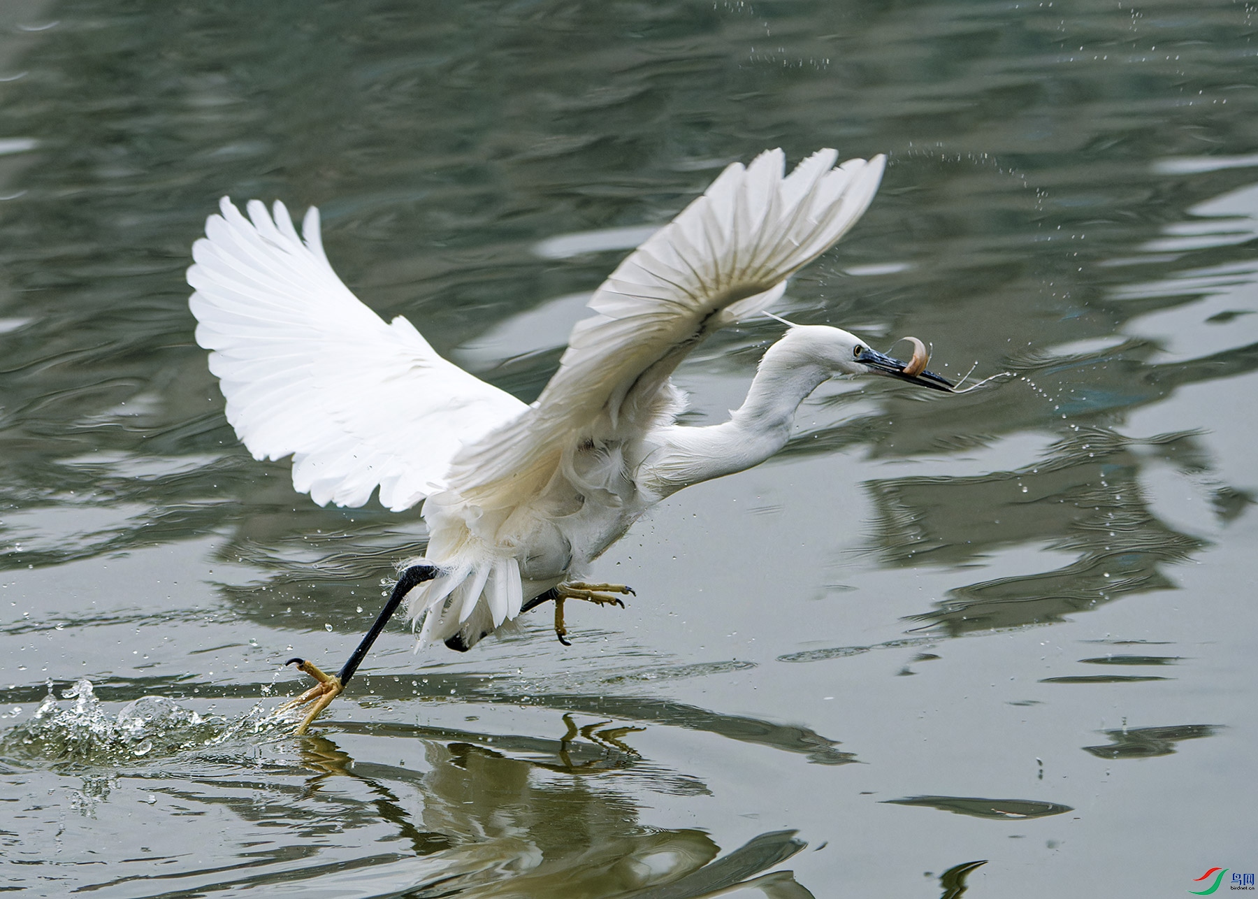 DSC_4115.jpg