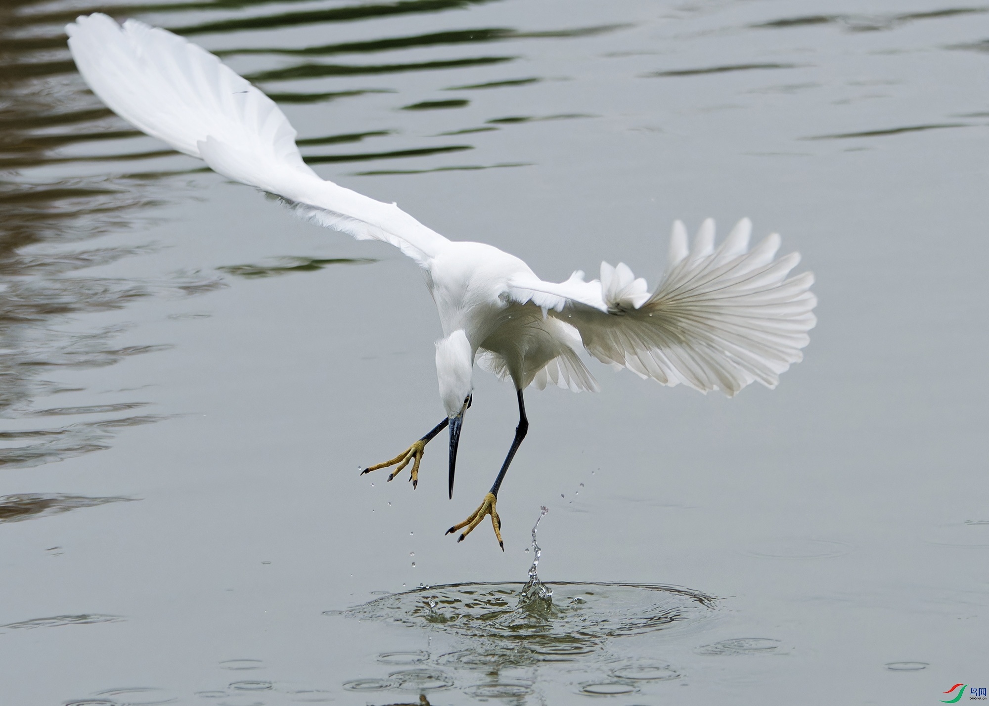 DSC_4134.jpg