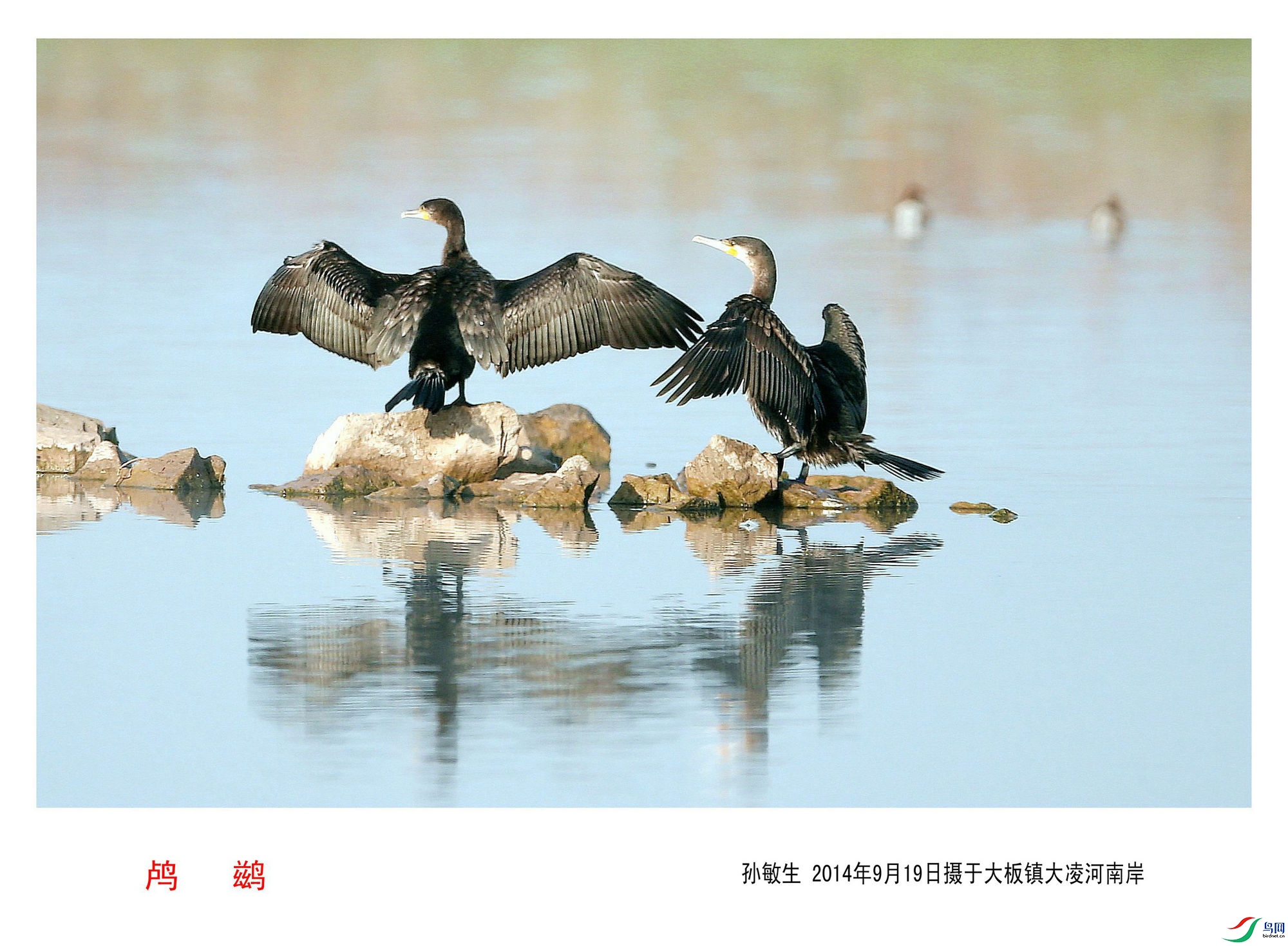 ��ͼ 9_����.jpg