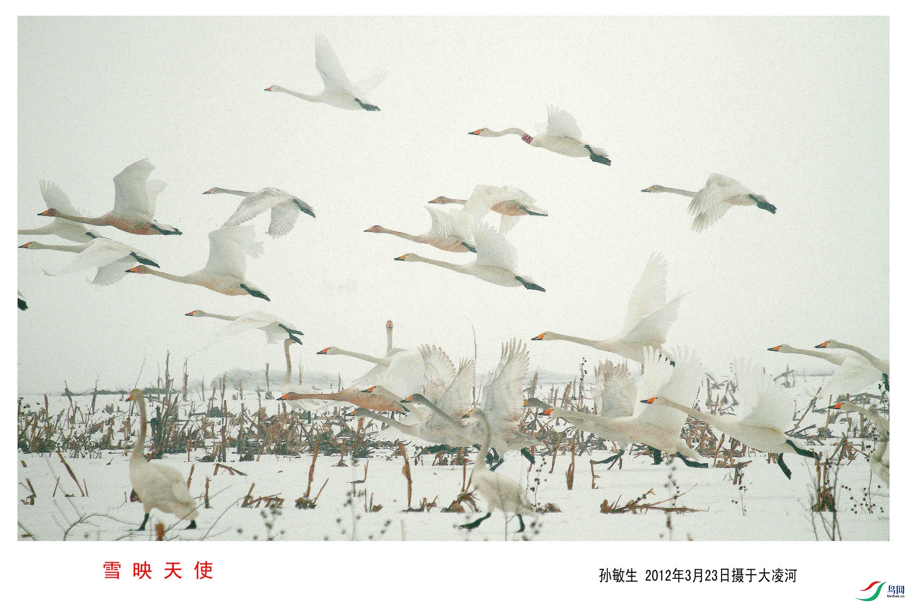 С 6_����.jpg