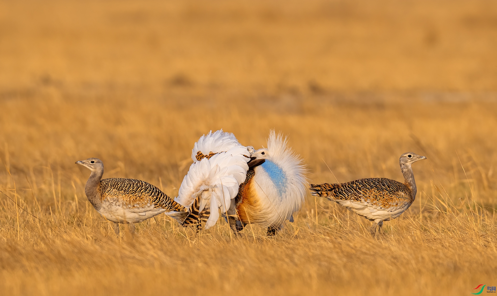_DSC9363.jpg