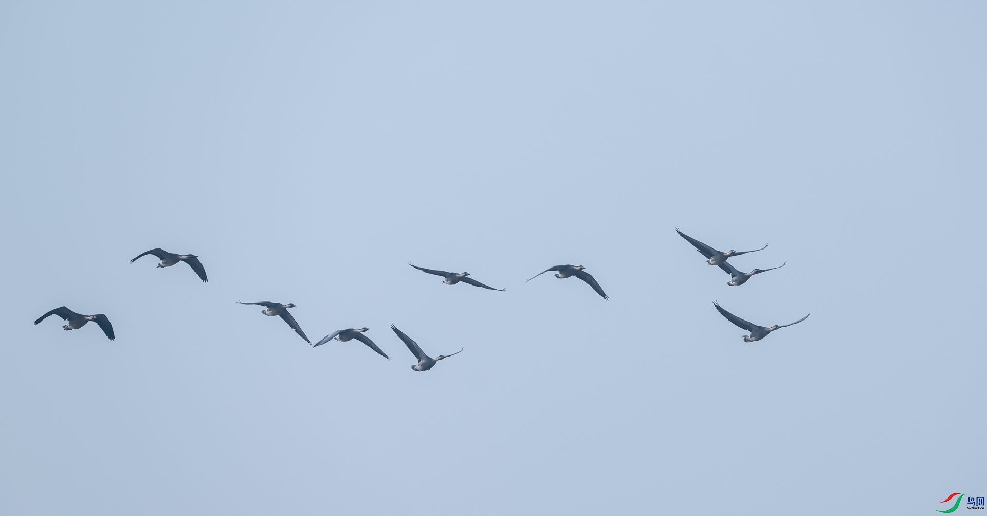 DSC_0662-1.jpg