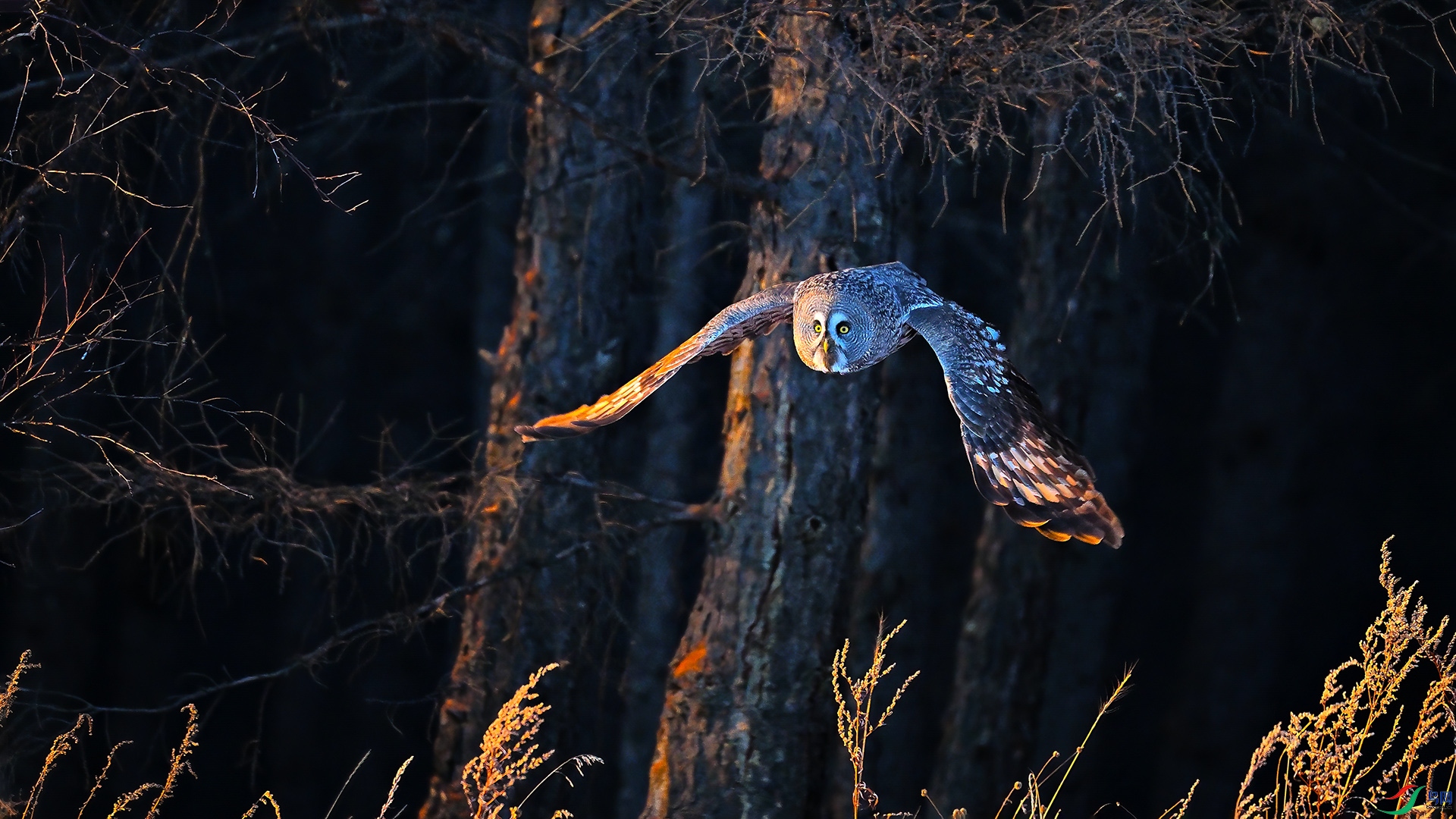 XHH_0015 ����.jpg