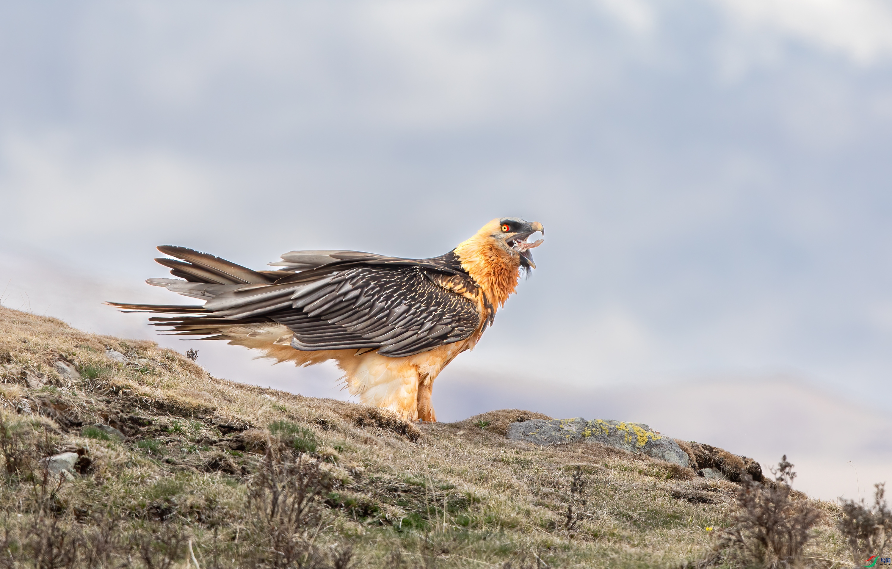 3S5A1489- ����.jpg