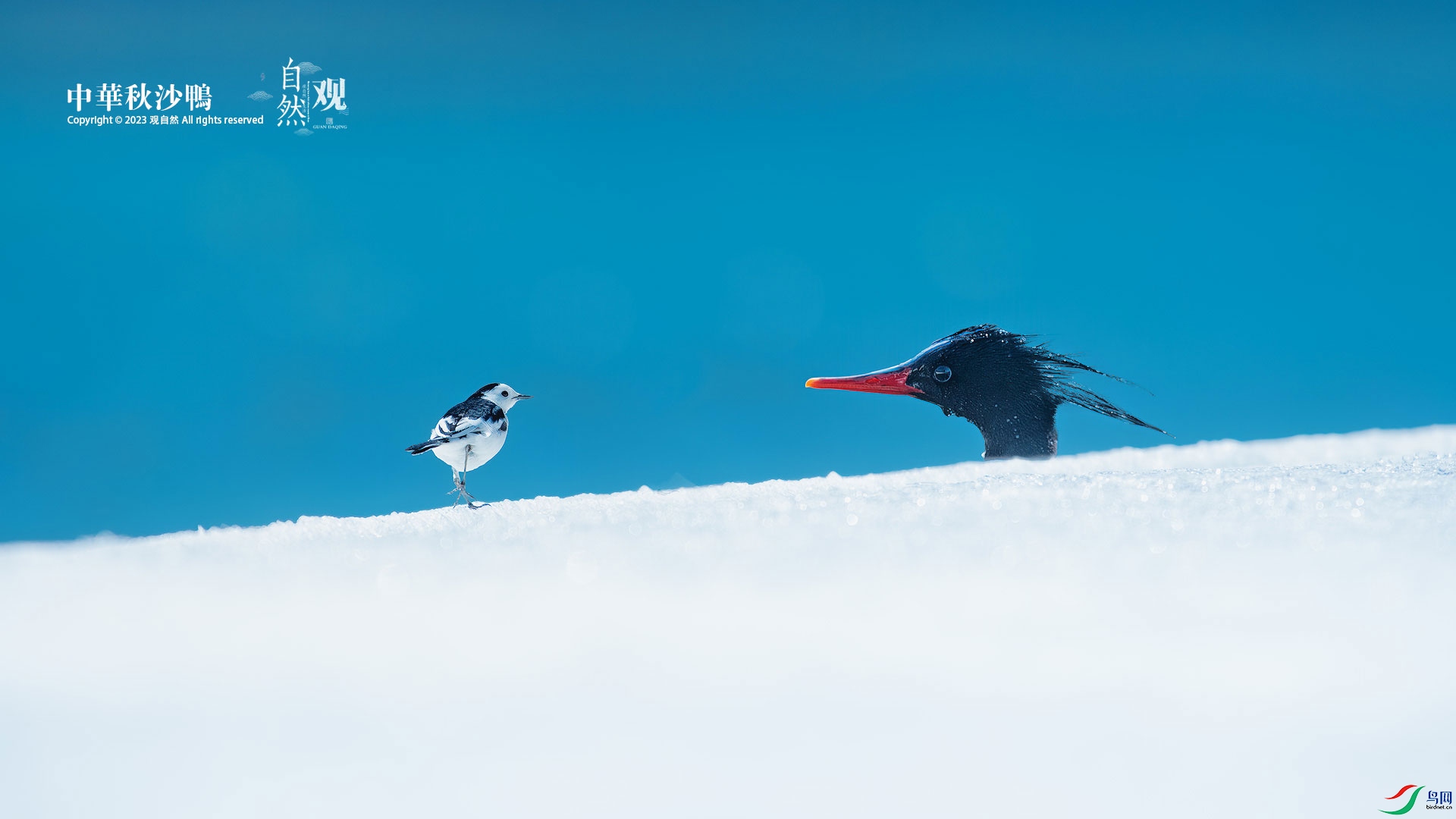 �л���ɳѼ����n�_