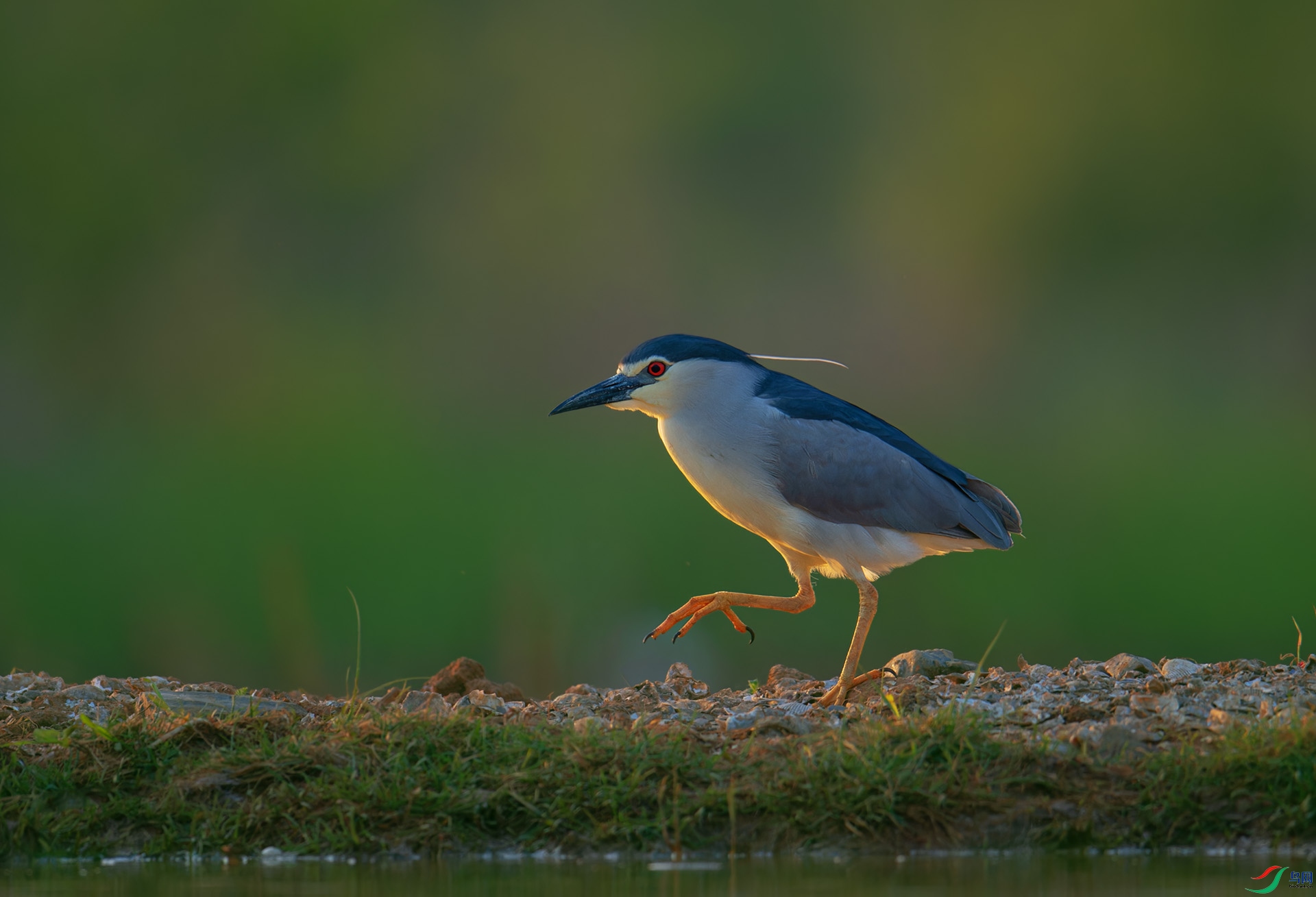 DSC_5763-1.jpg