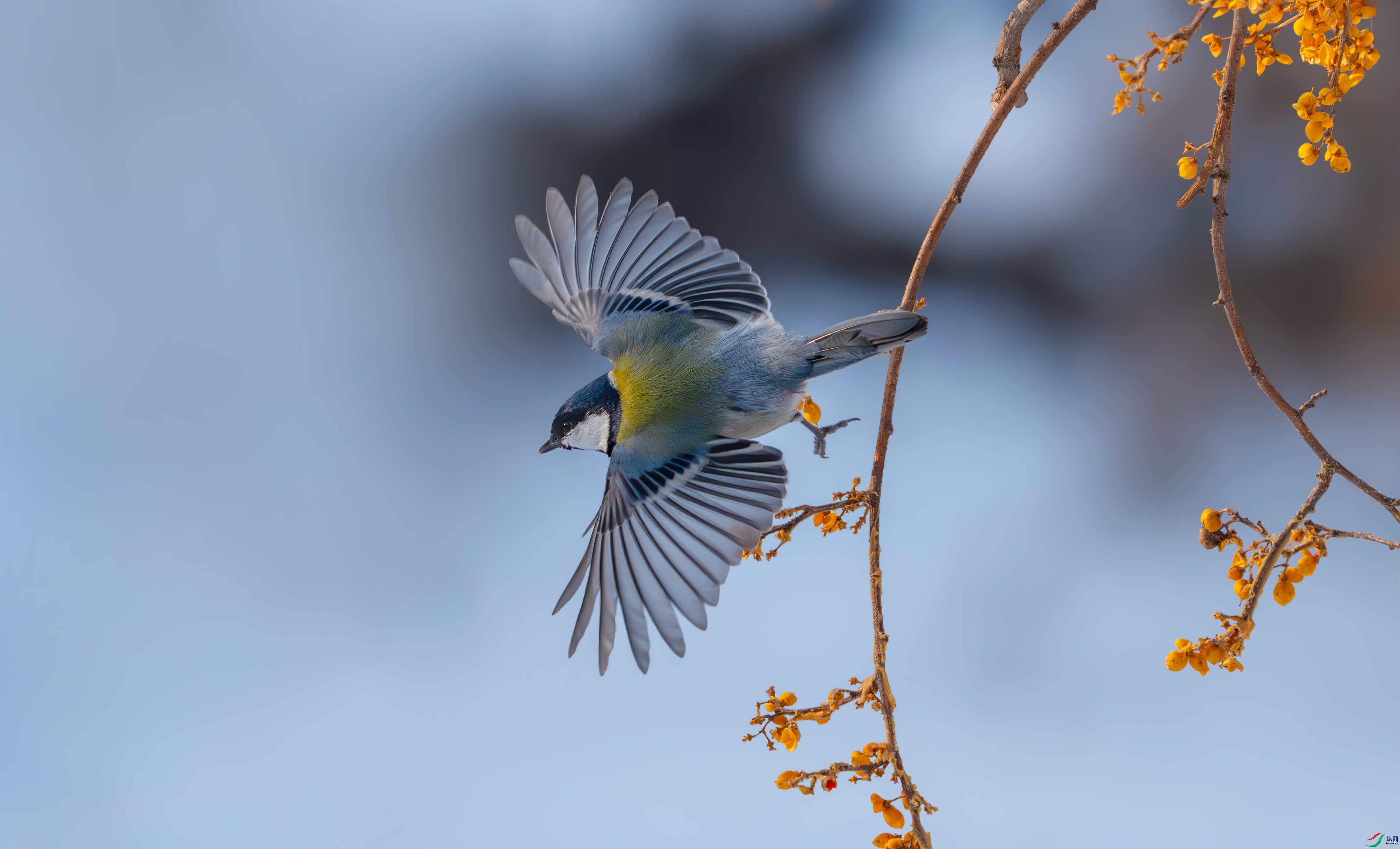 _DSC6346 ����.jpg