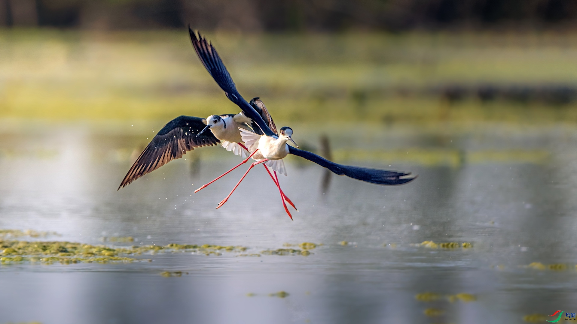 1_XXI1341 ����.jpeg