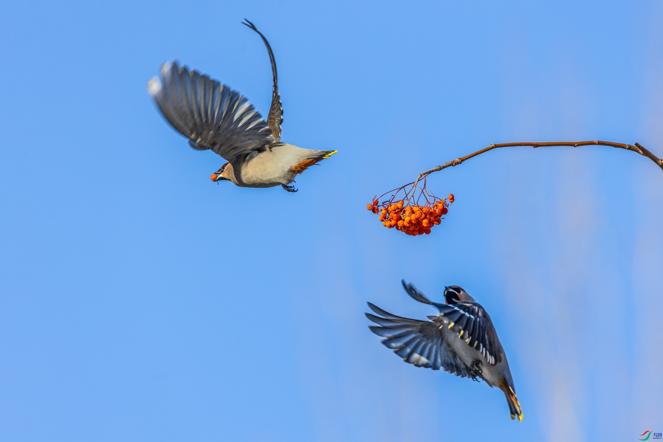 1K3A5030 ����1.jpg