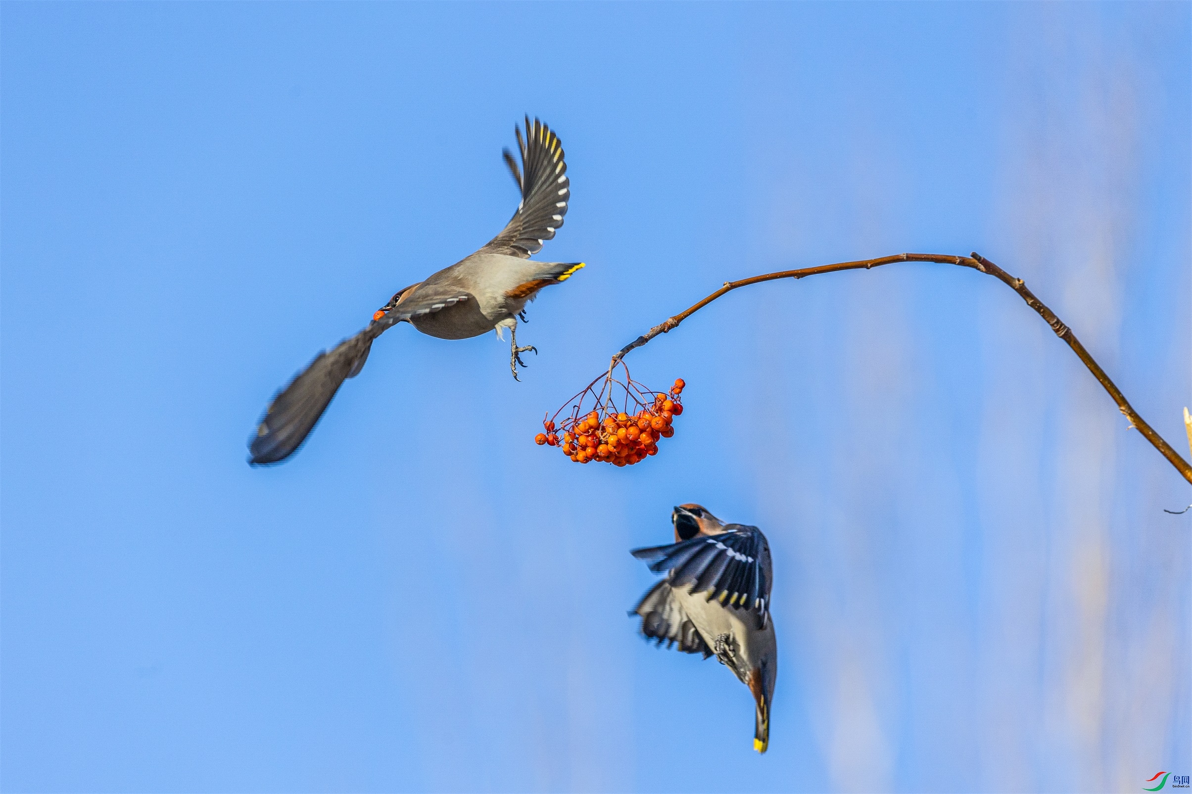 1K3A5029 ����1.jpg