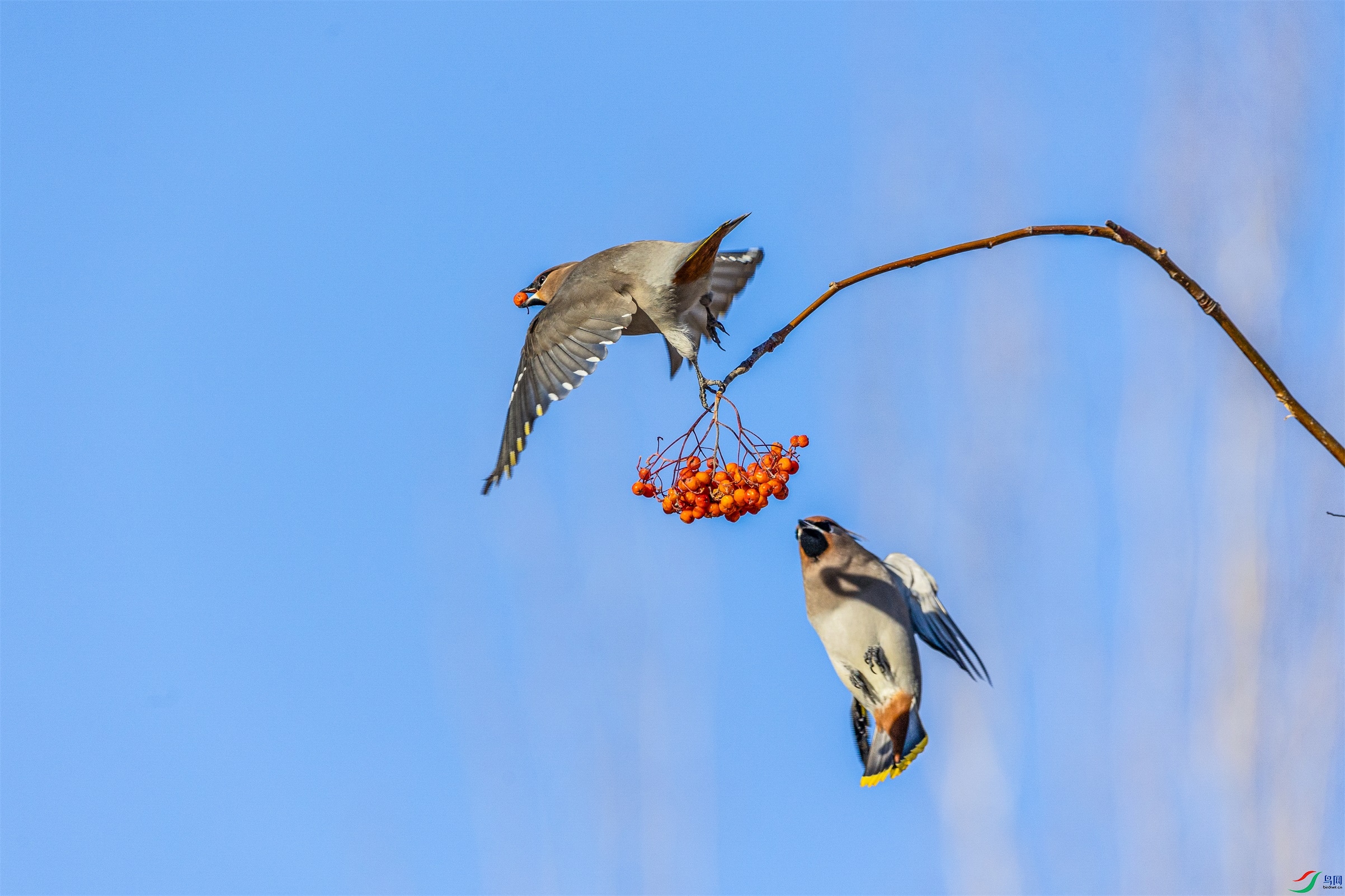 1K3A5028 ����1.jpg