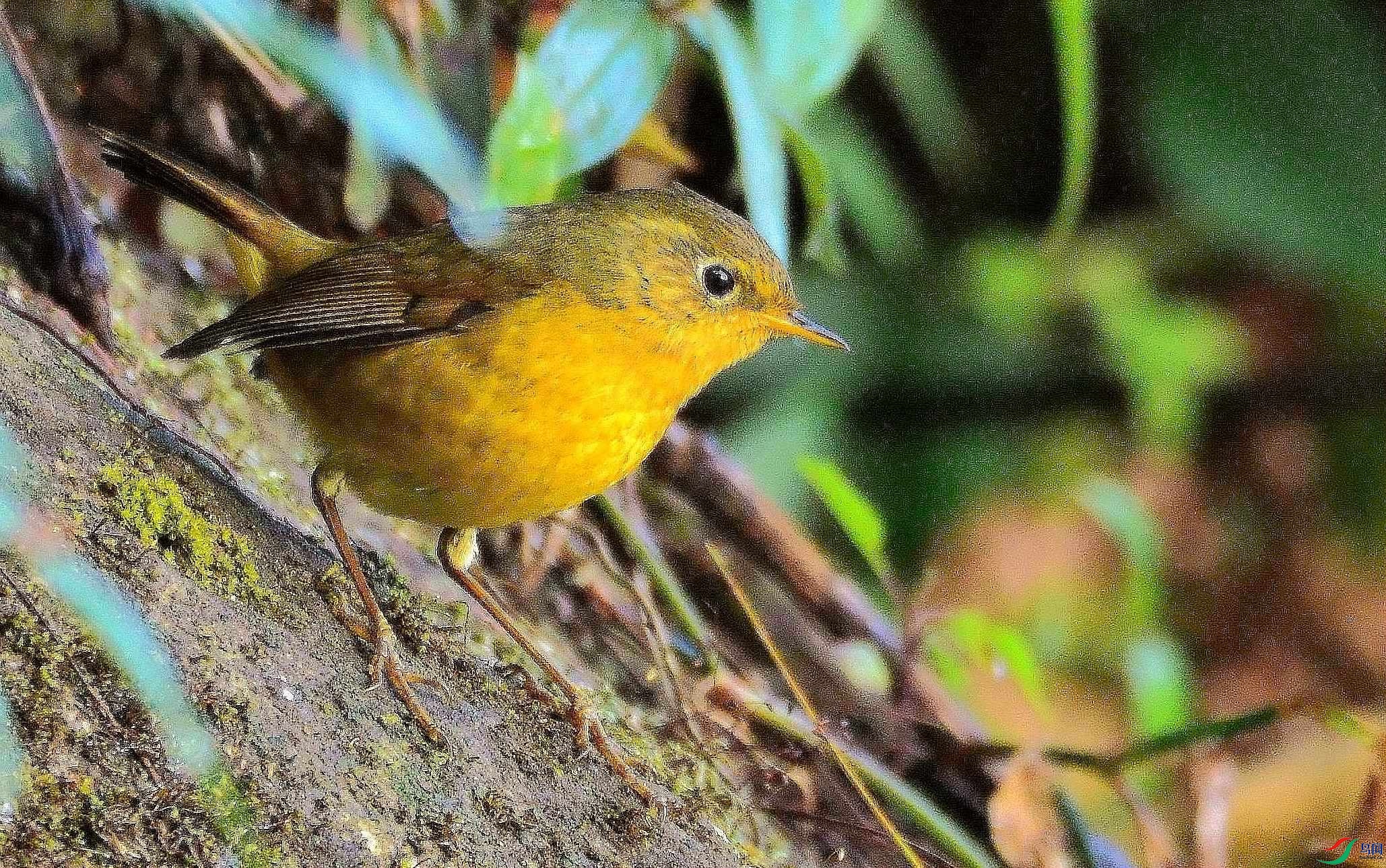 DSC_2374.JPG