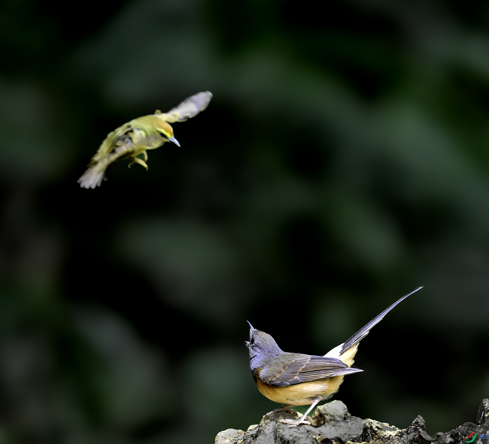 ��������