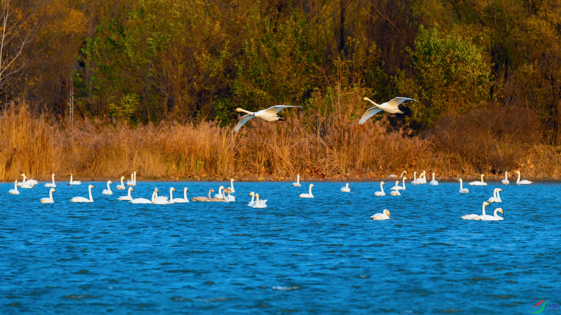 DSC_5221_DxOa.jpg