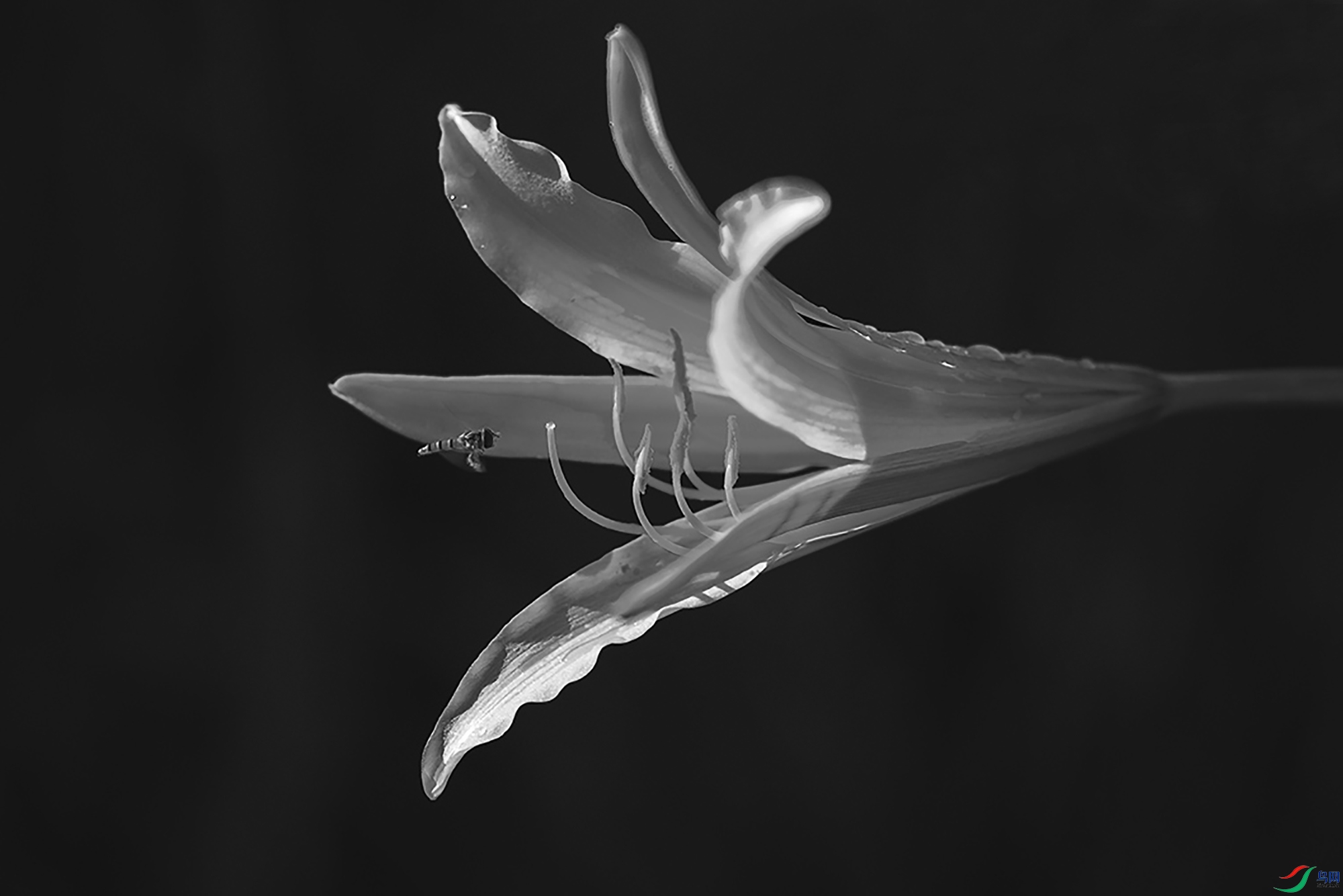 522718_1666479553541_90.jpg