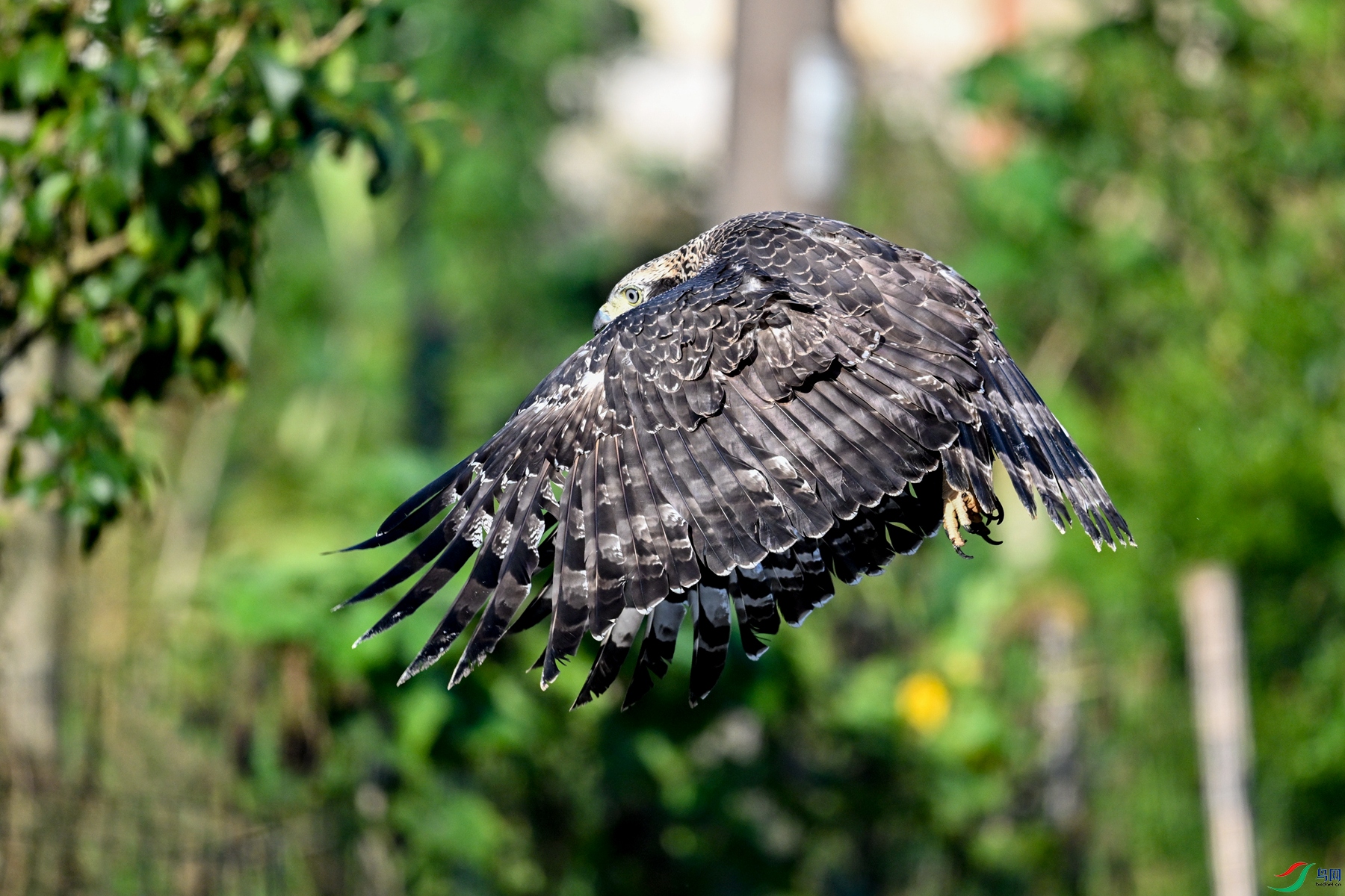 DSC_3131.JPG