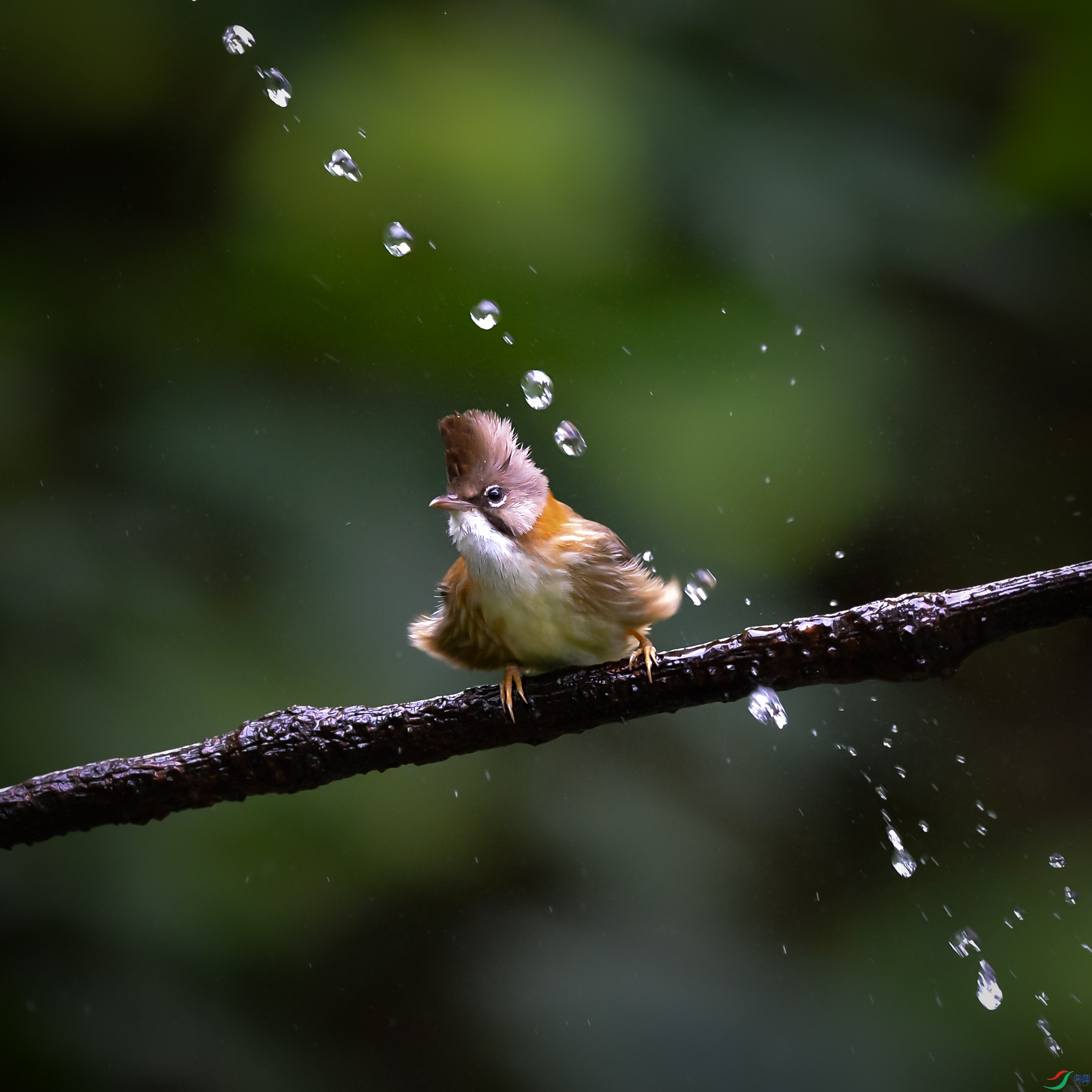 DSC_9911.jpg
