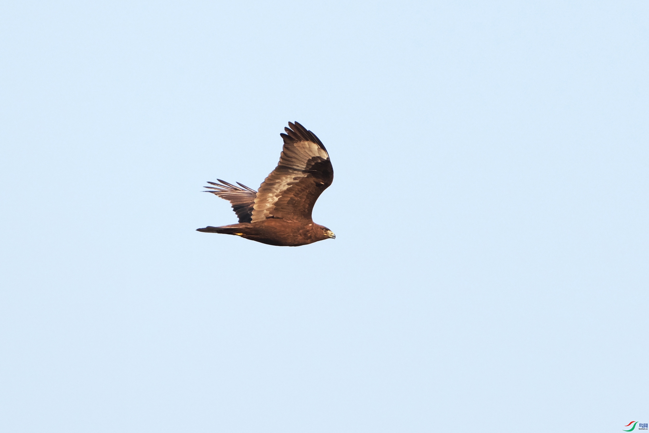 DSCF1778.JPG