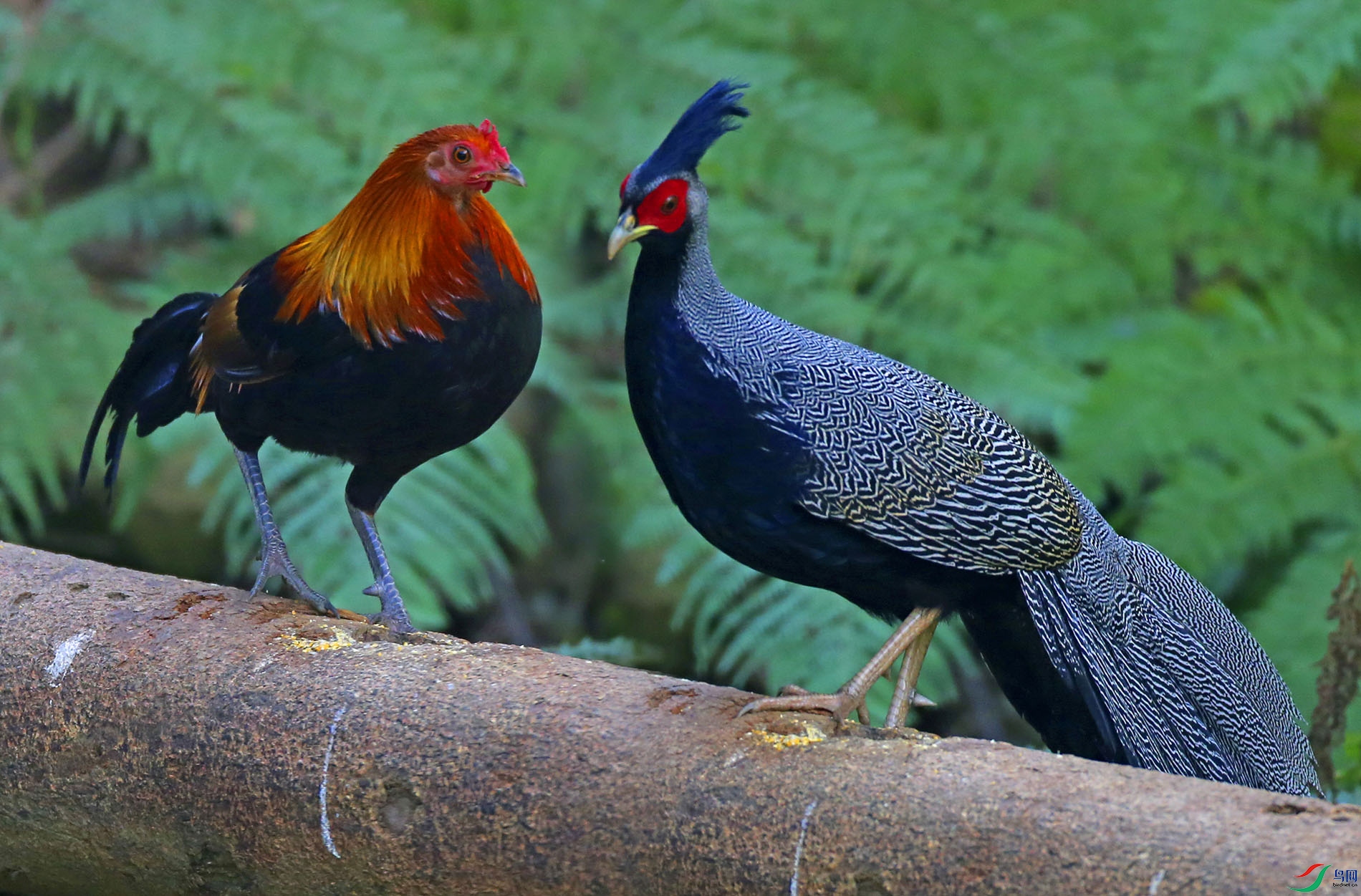 CK6K1400.JPG