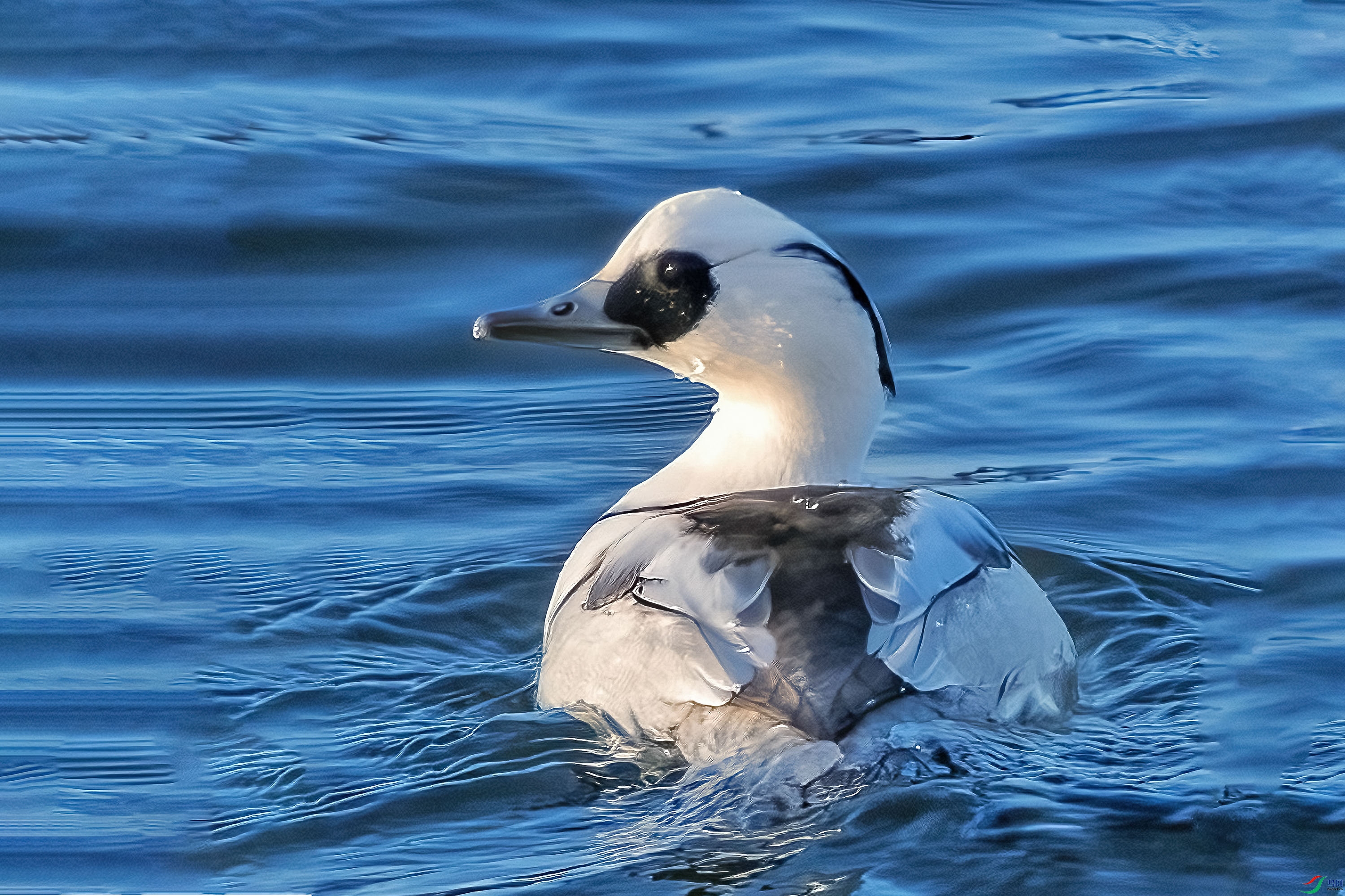 3106 ����5_1.jpg