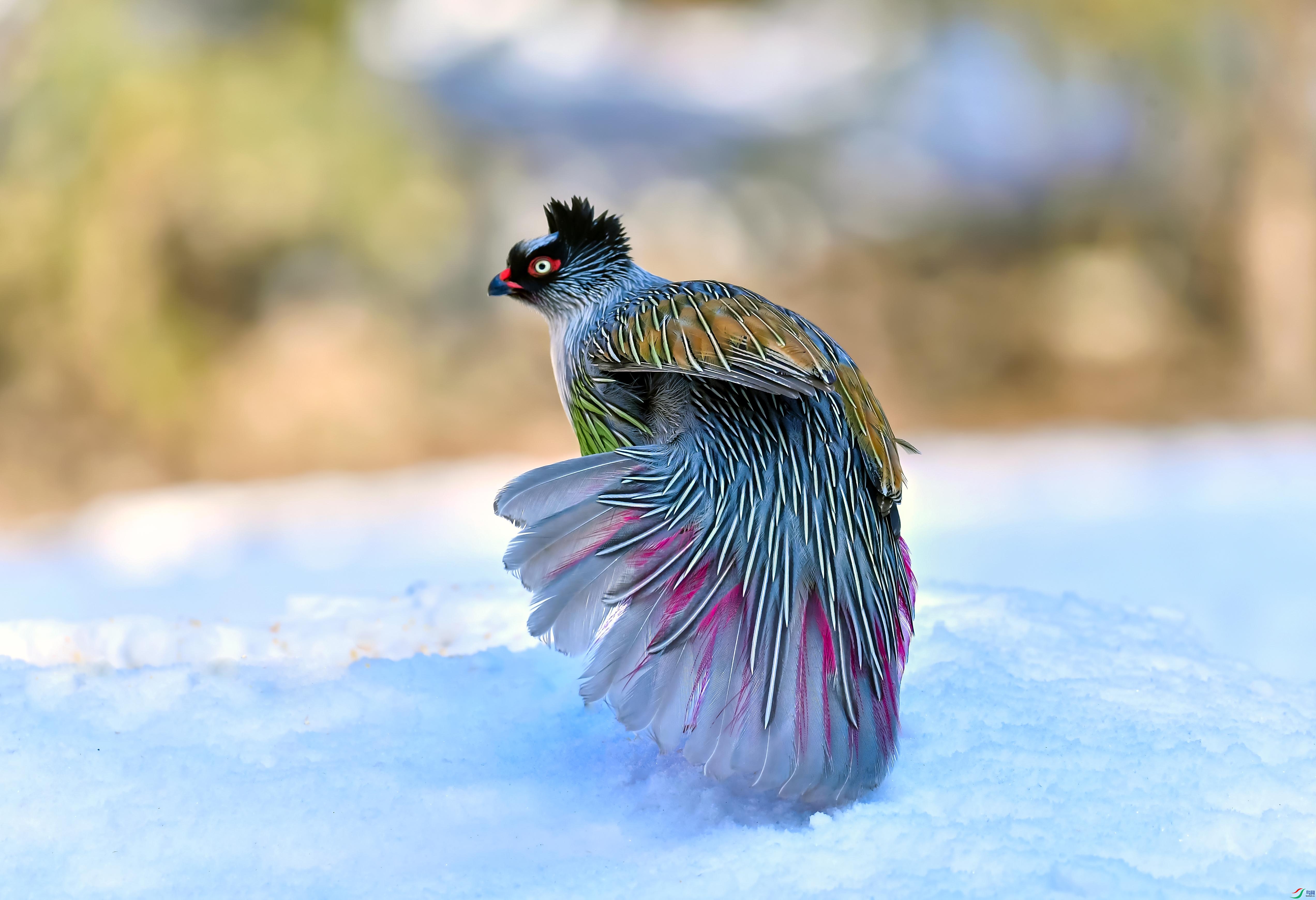 DSC_9820.jpg