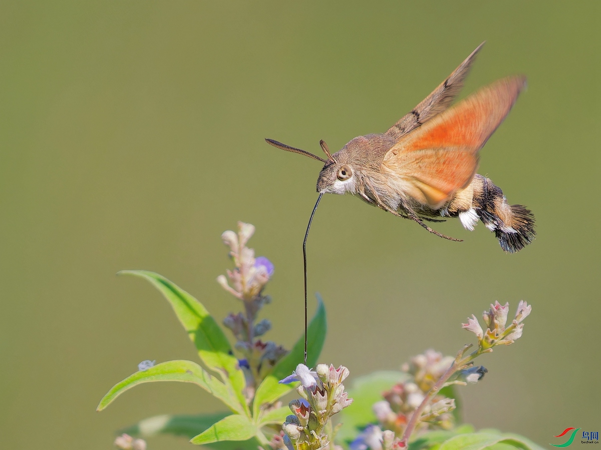 PA031420_DxO - ����.jpg