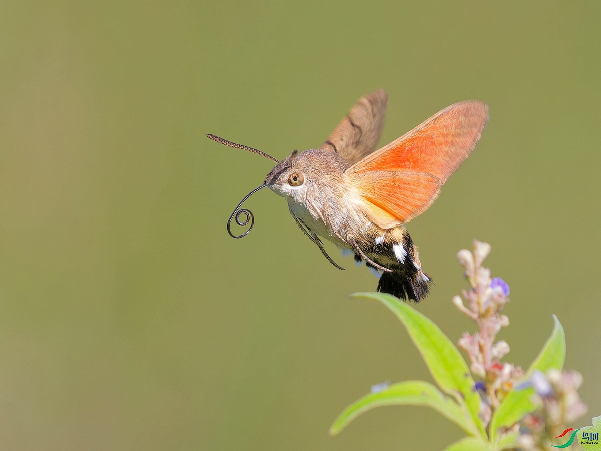 PA031446_DxO - ����.jpg