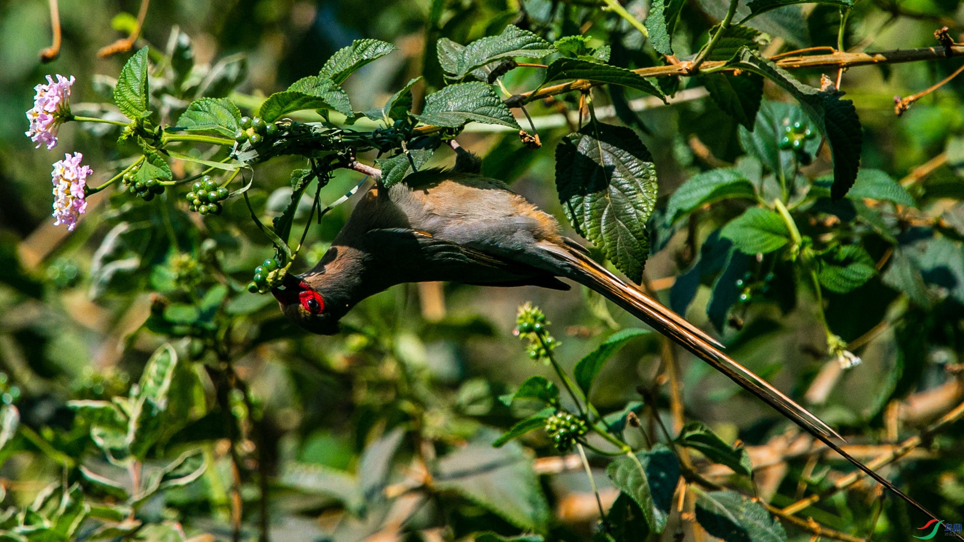 ������ȸ