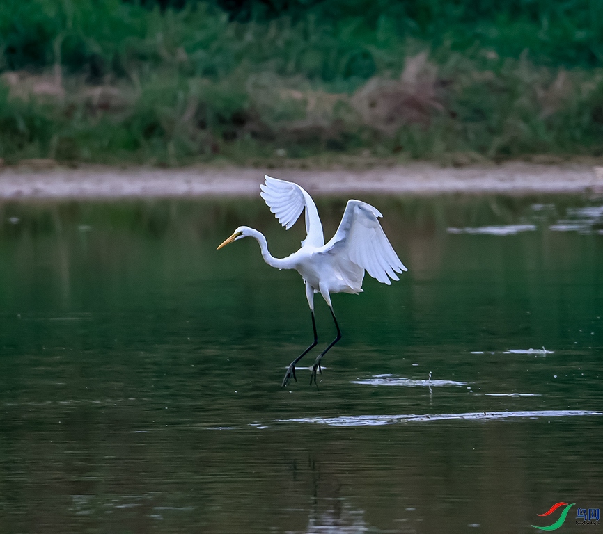 0J2A7862-0.jpg
