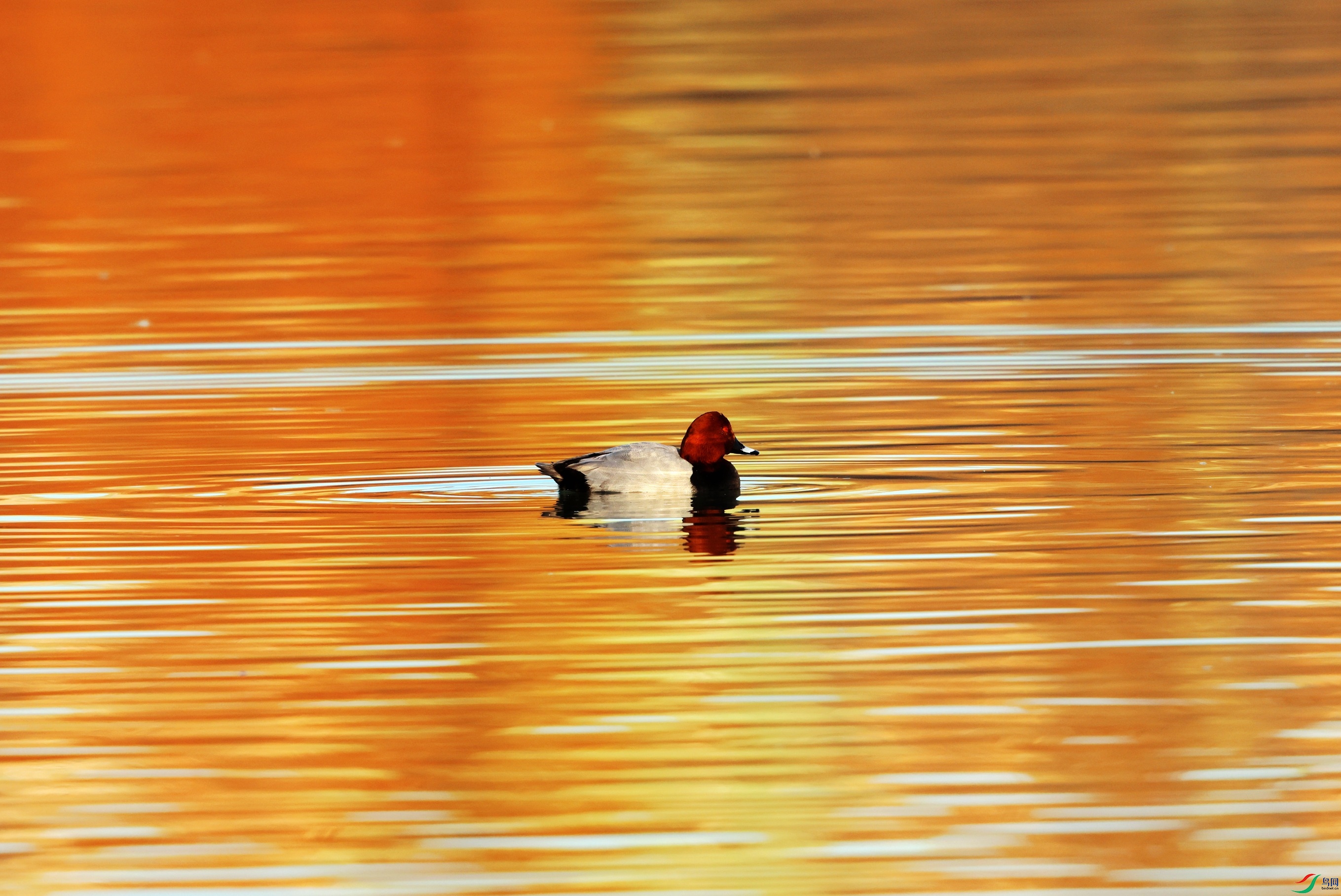 ��ͷǱѼ (6).JPG