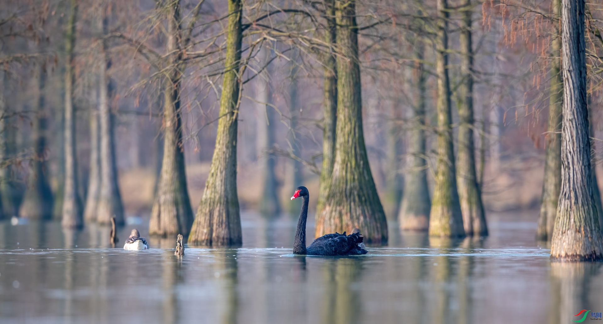 DSC_4808-1.jpg