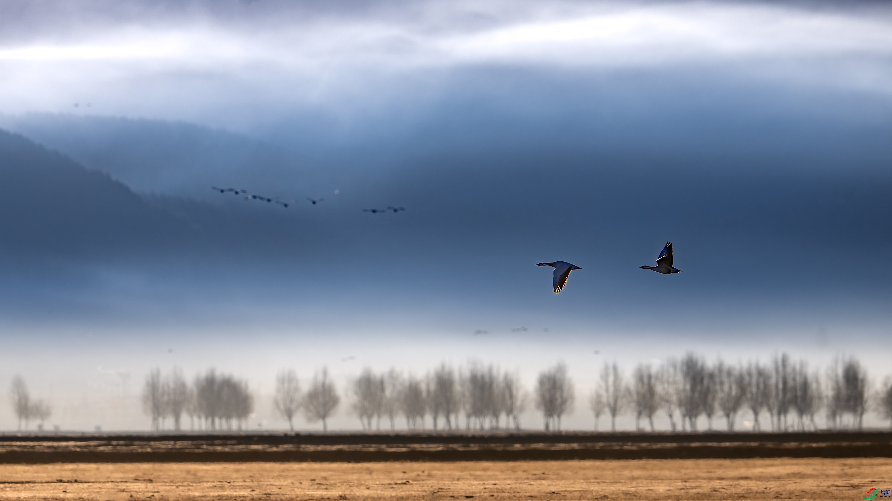 DSC_5075-����ǿ-NR-11.jpg