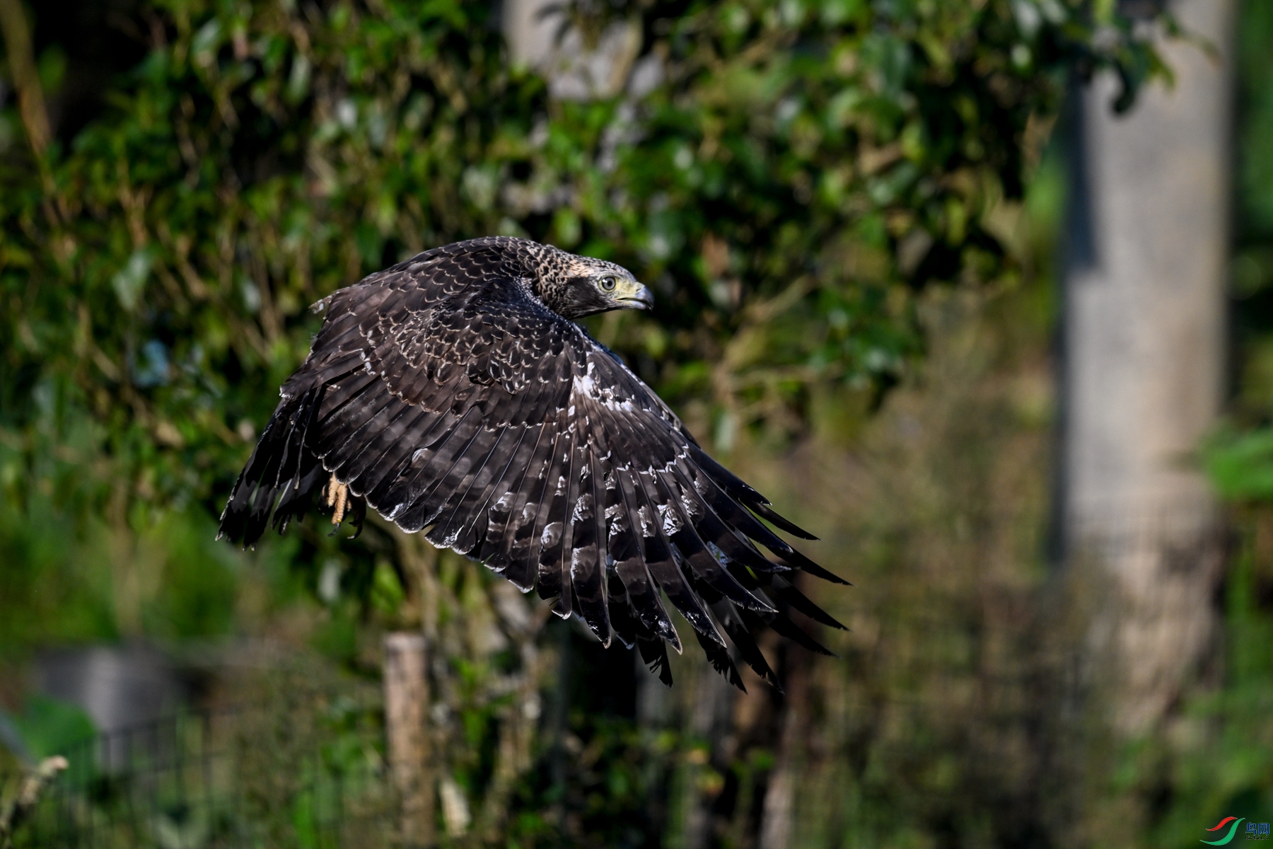 DSC_3137.JPG