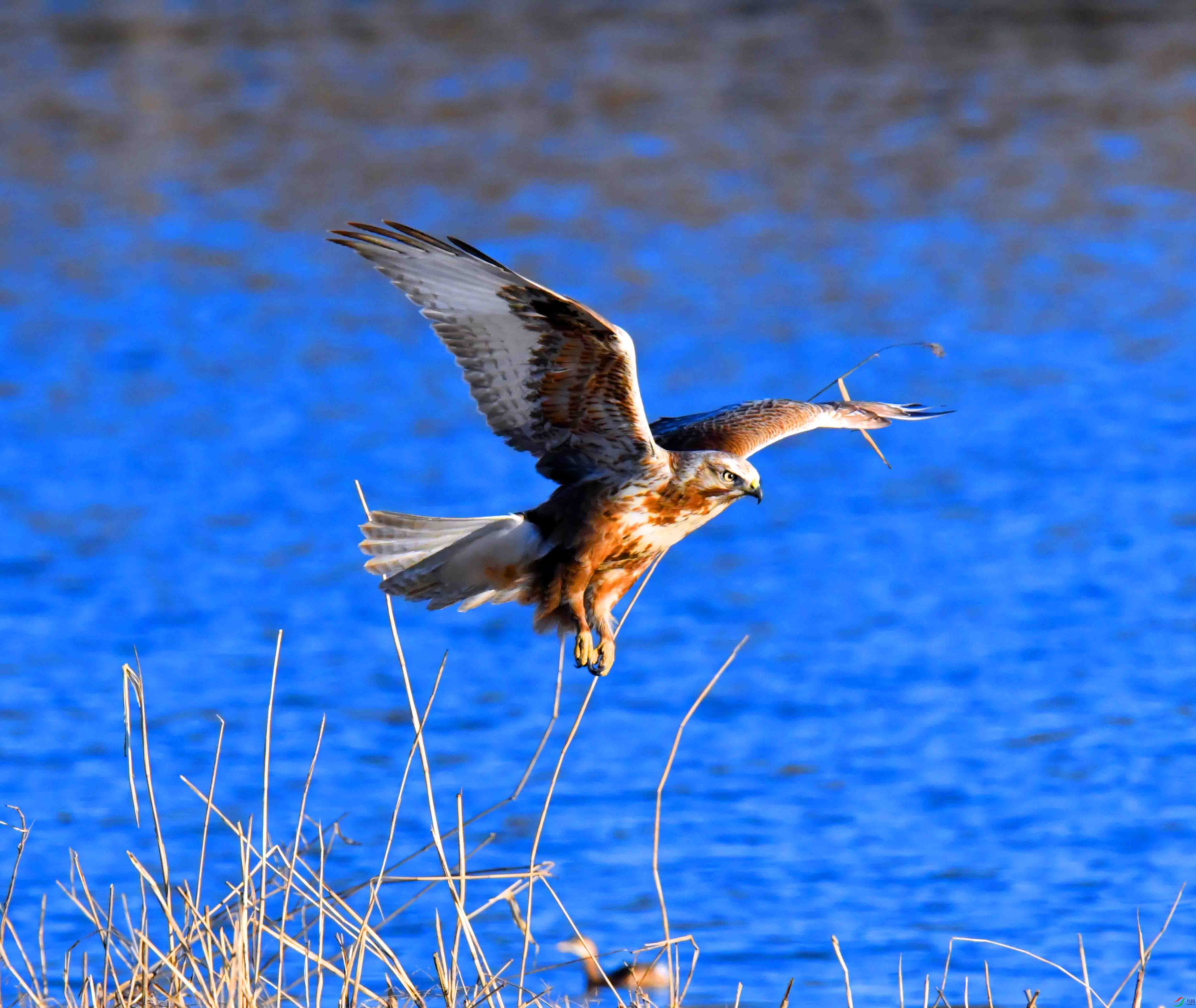 DSC_0178.JPG