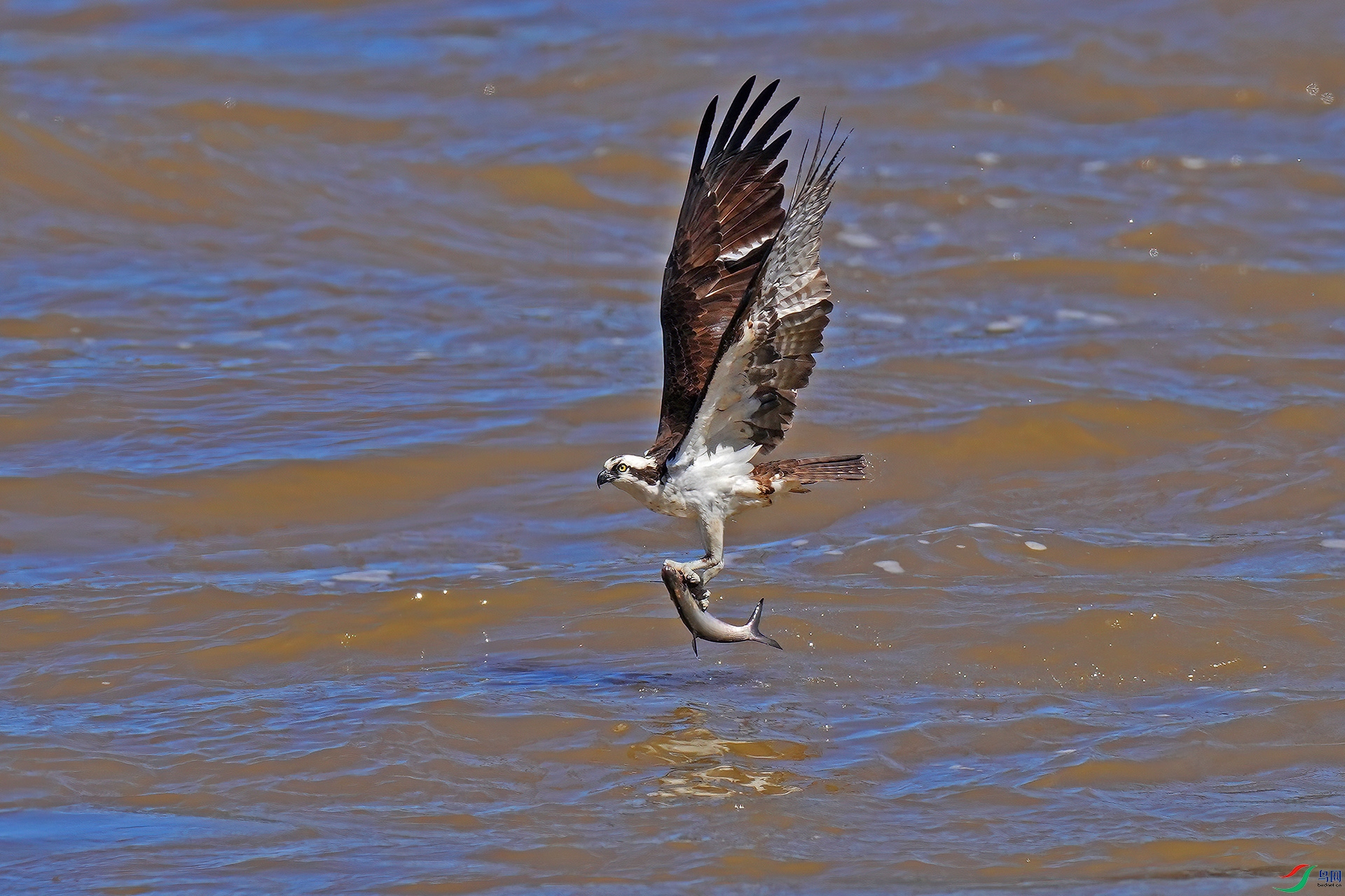 DSC05508--.jpg