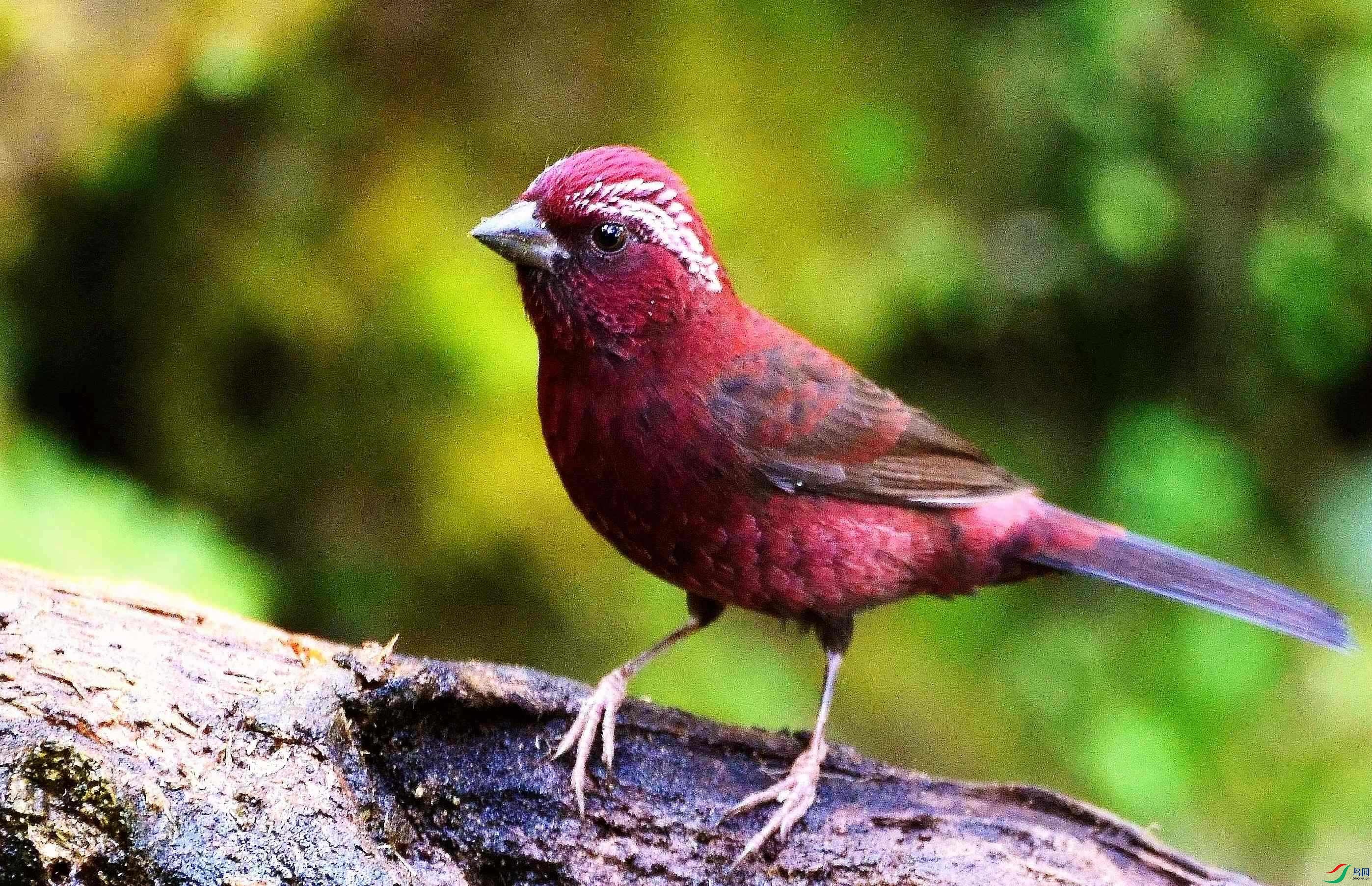 DSC_1662.JPG