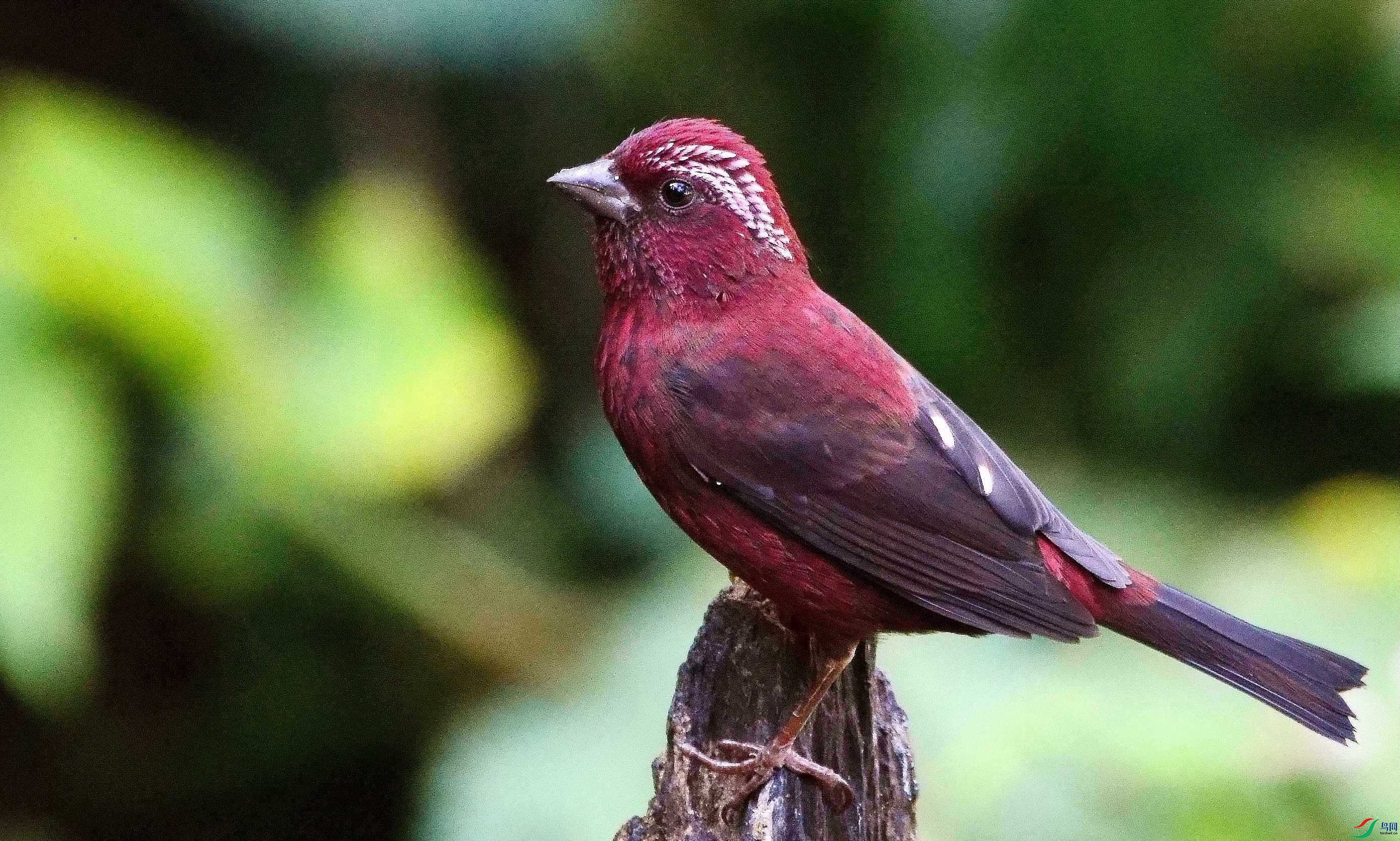 DSC_1671.JPG