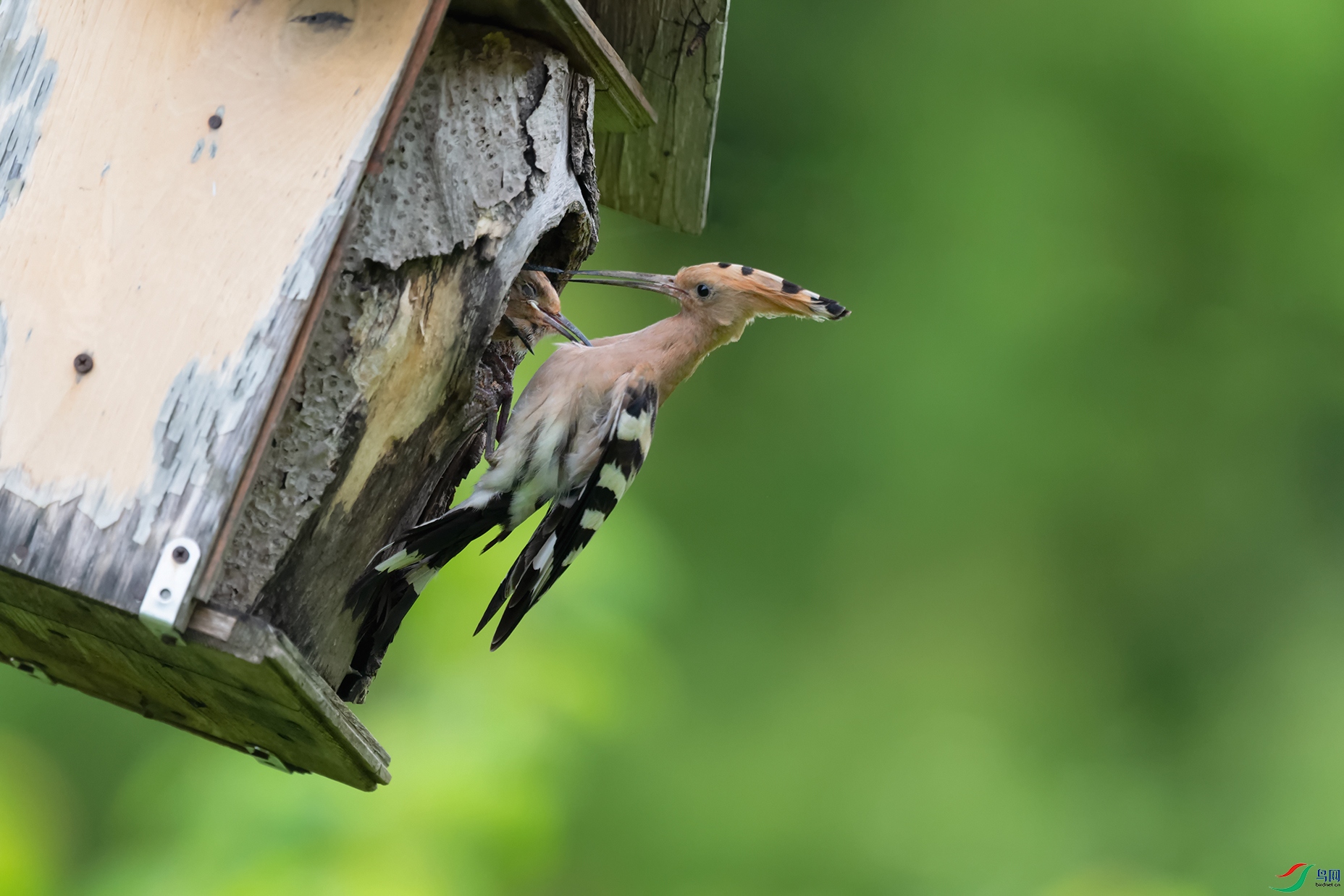 4DSC_6414_DxOa.jpg