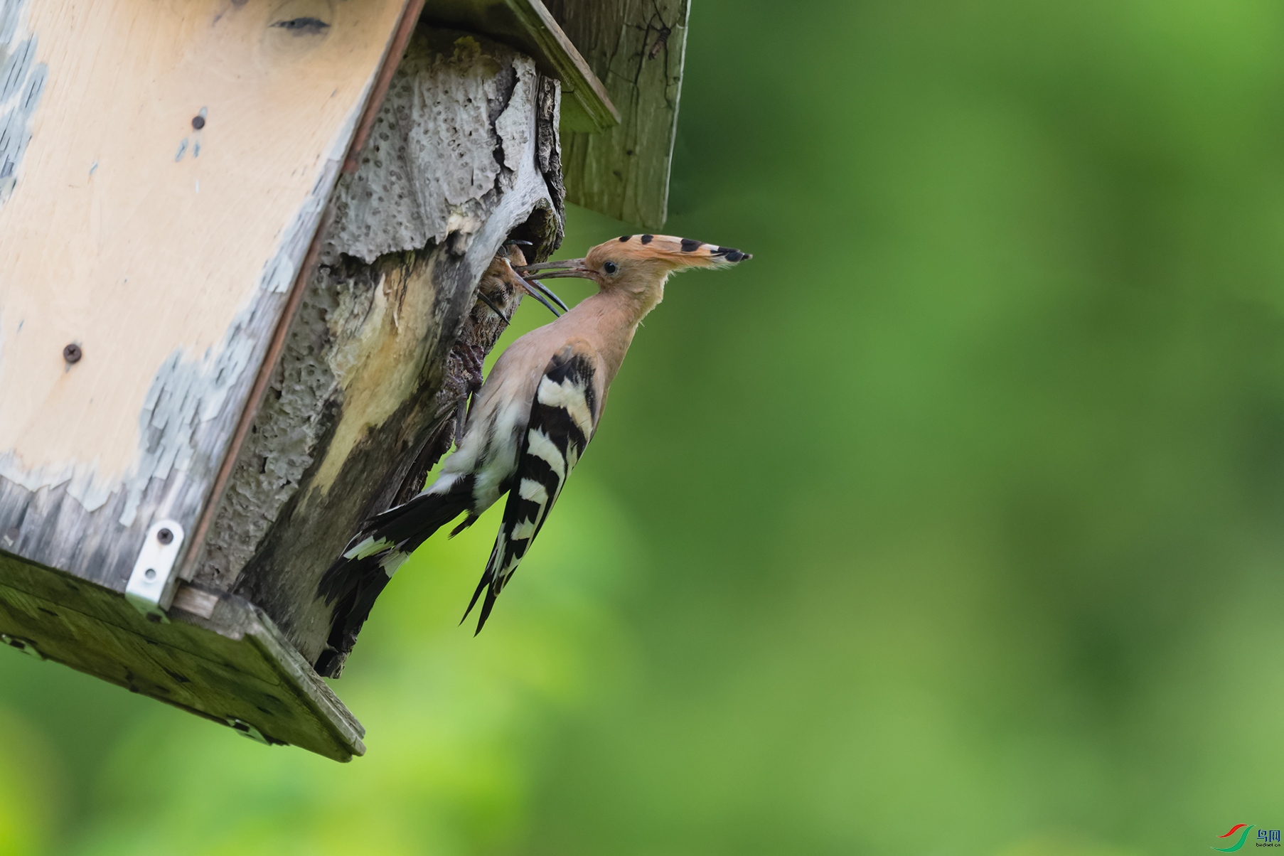 1DSC_6413_DxOa.jpg