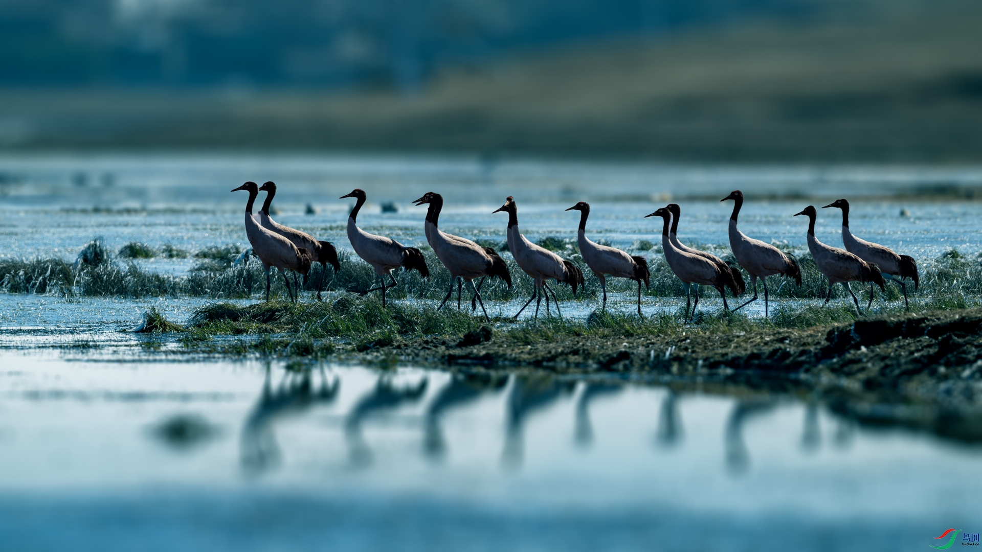 �԰����ջ�