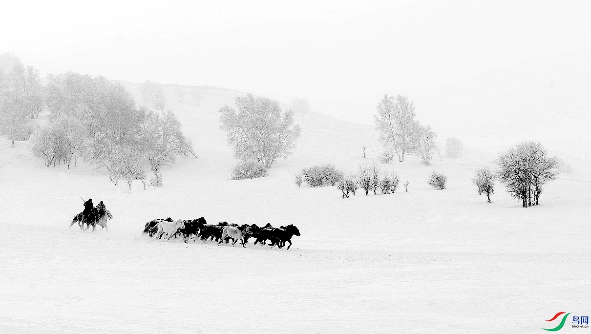 _DSC2585.jpg