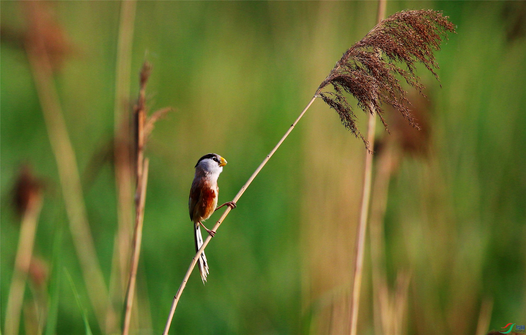 H46R4190_����_���� (2).jpg