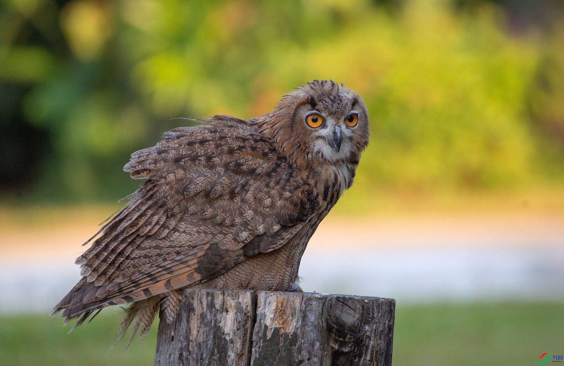 _16A7712����  03.jpg