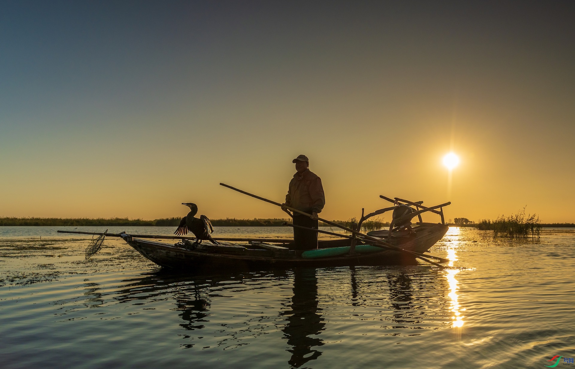 1_XXL8603 ����.jpeg