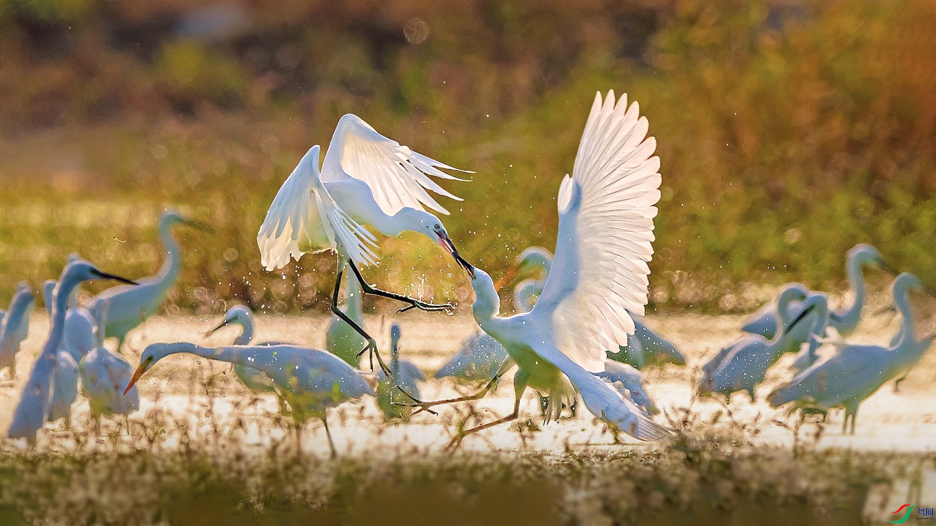 3�ĸ���8 ����.jpeg