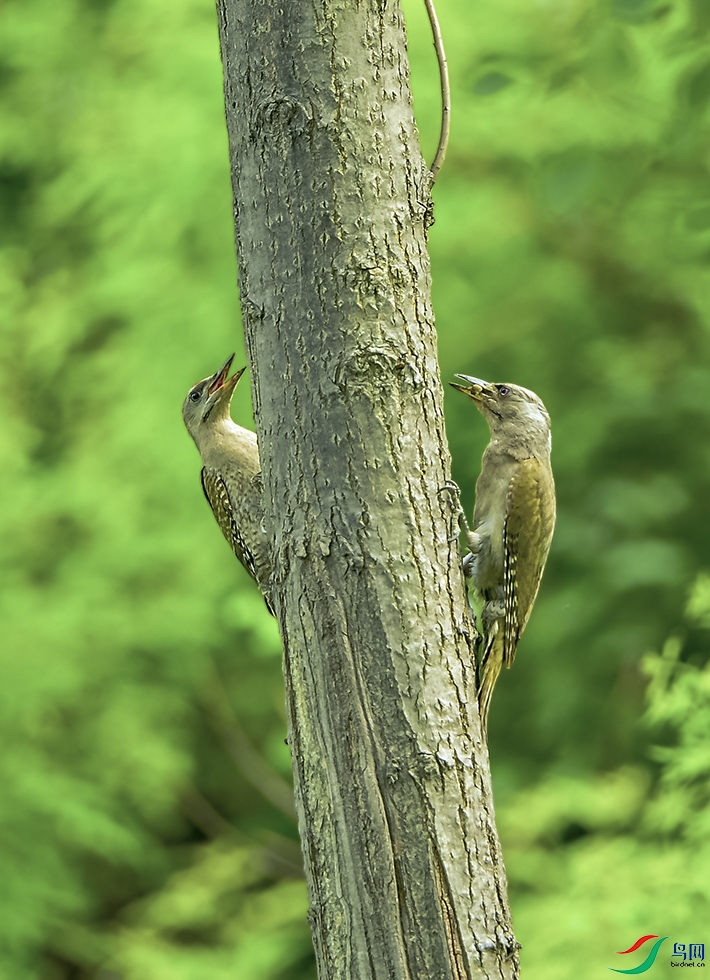 DSC_6216.jpg
