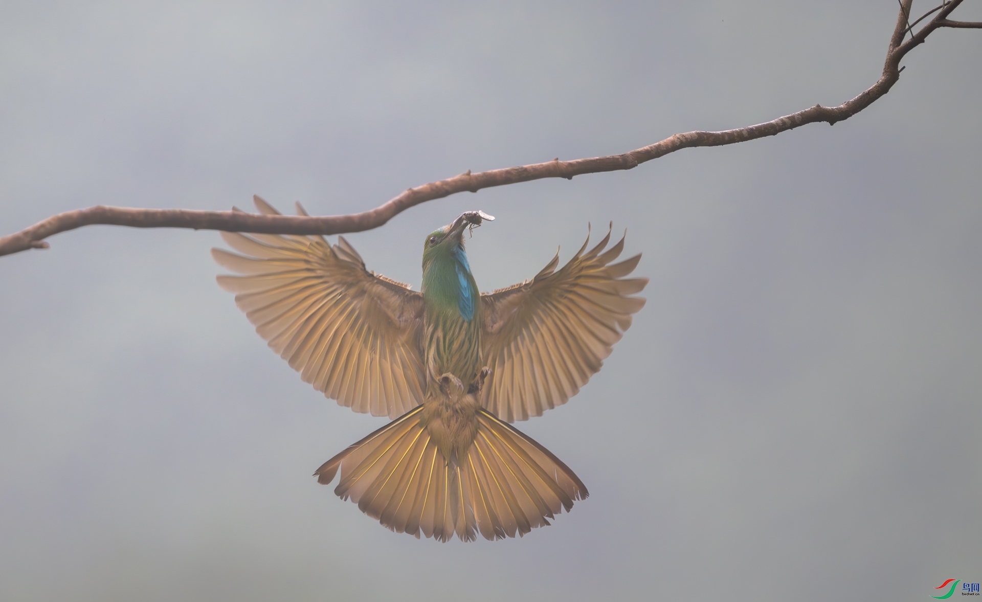 DSC_1418-1.jpg